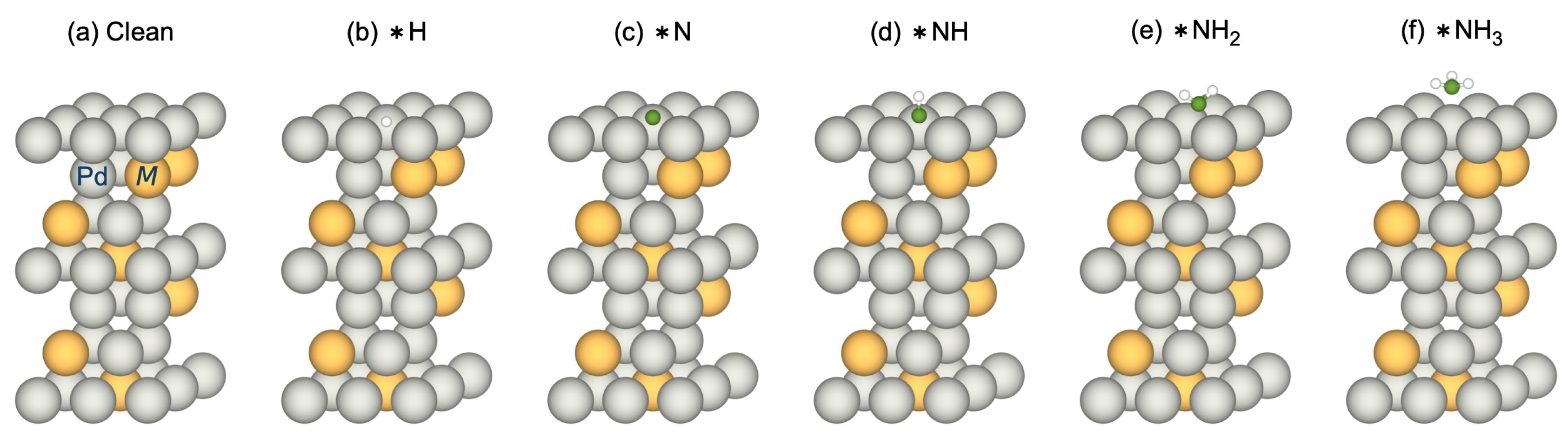 Membranes 15 00135 g001