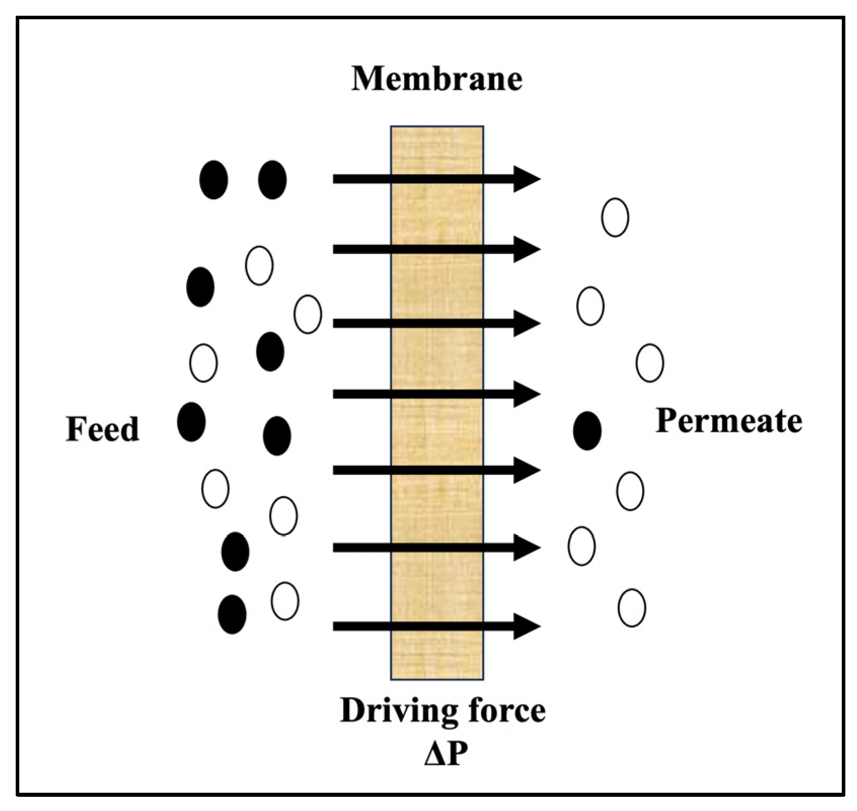 Membranes 15 00140 g001