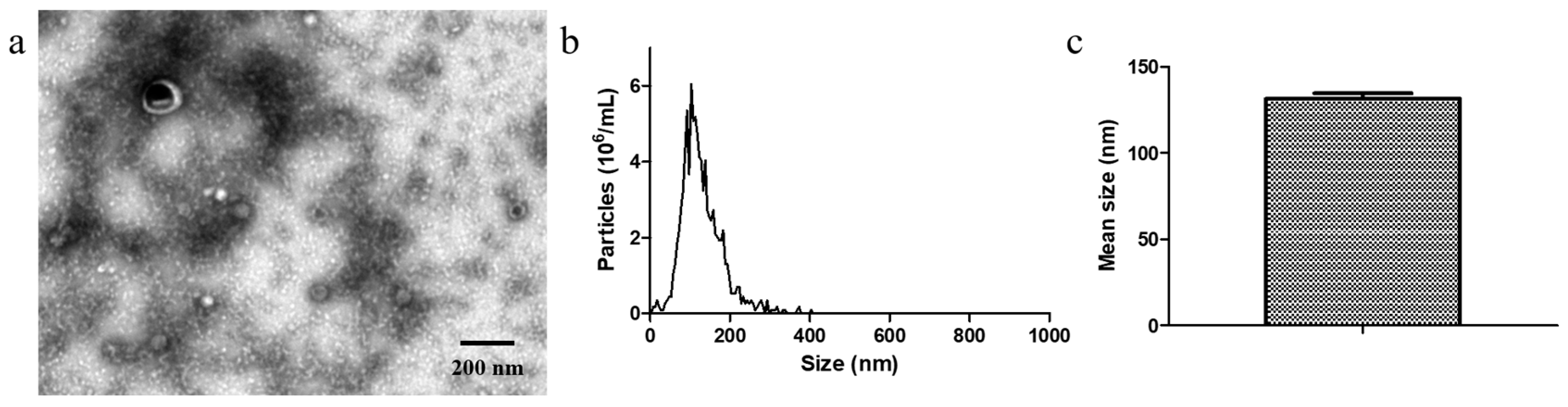 Membranes 15 00141 g001