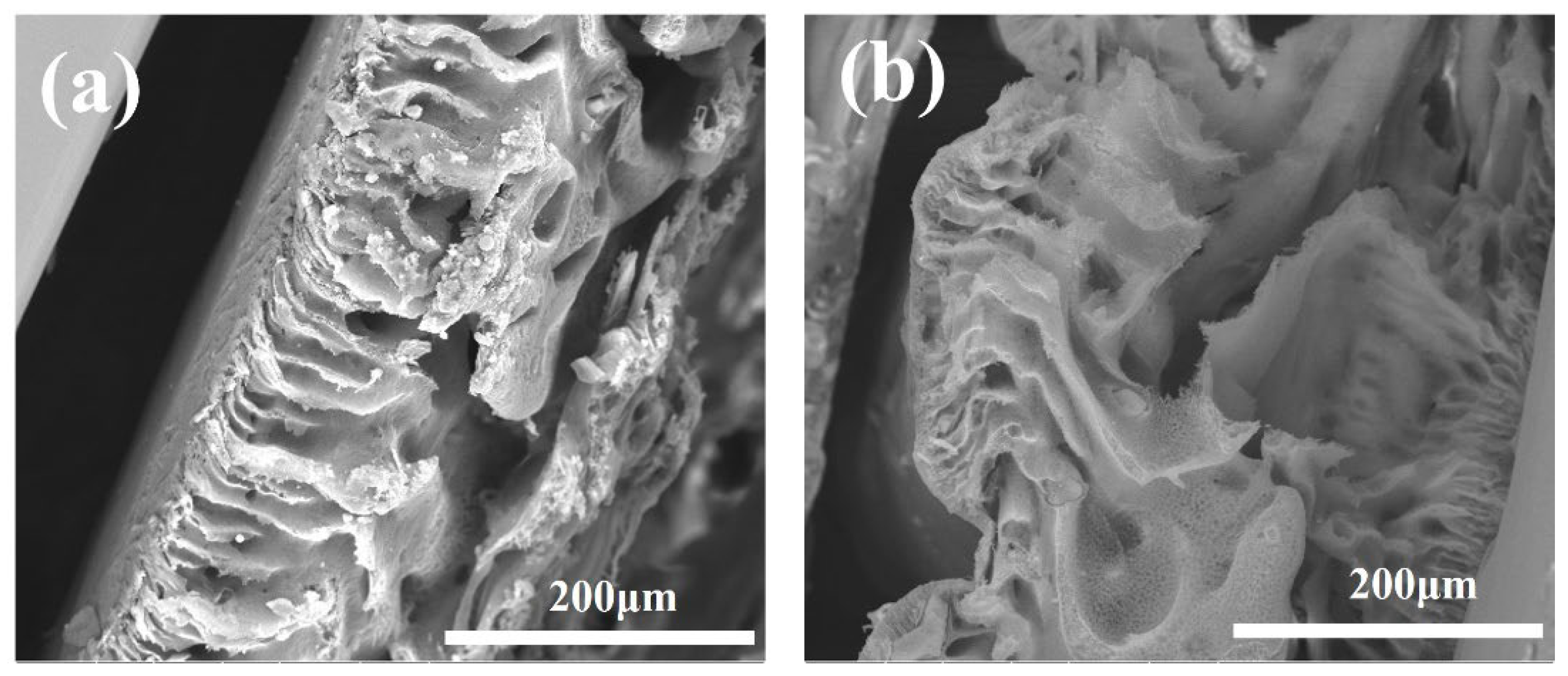 Membranes 15 00142 g010
