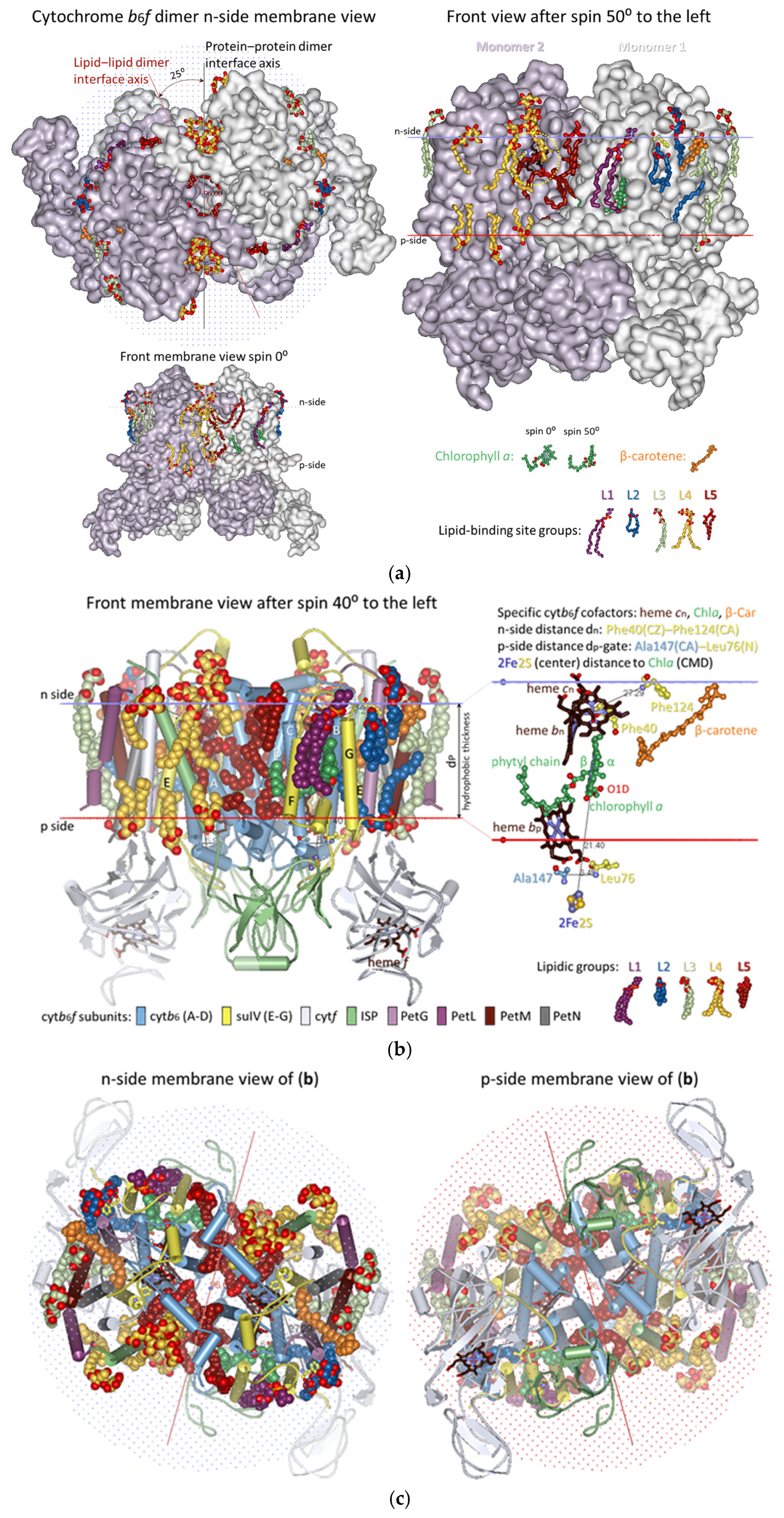 Membranes 15 00143 g002