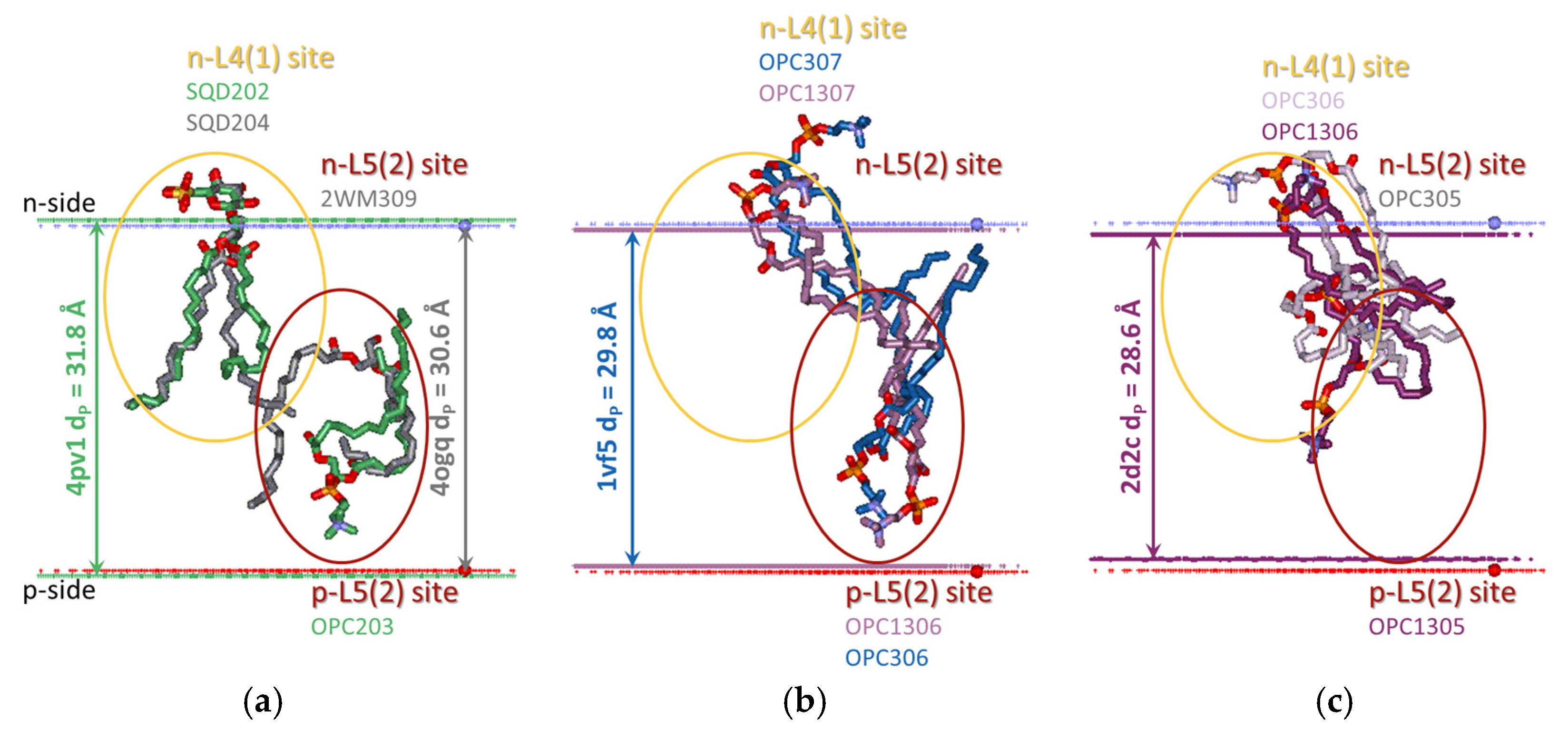 Membranes 15 00143 g005