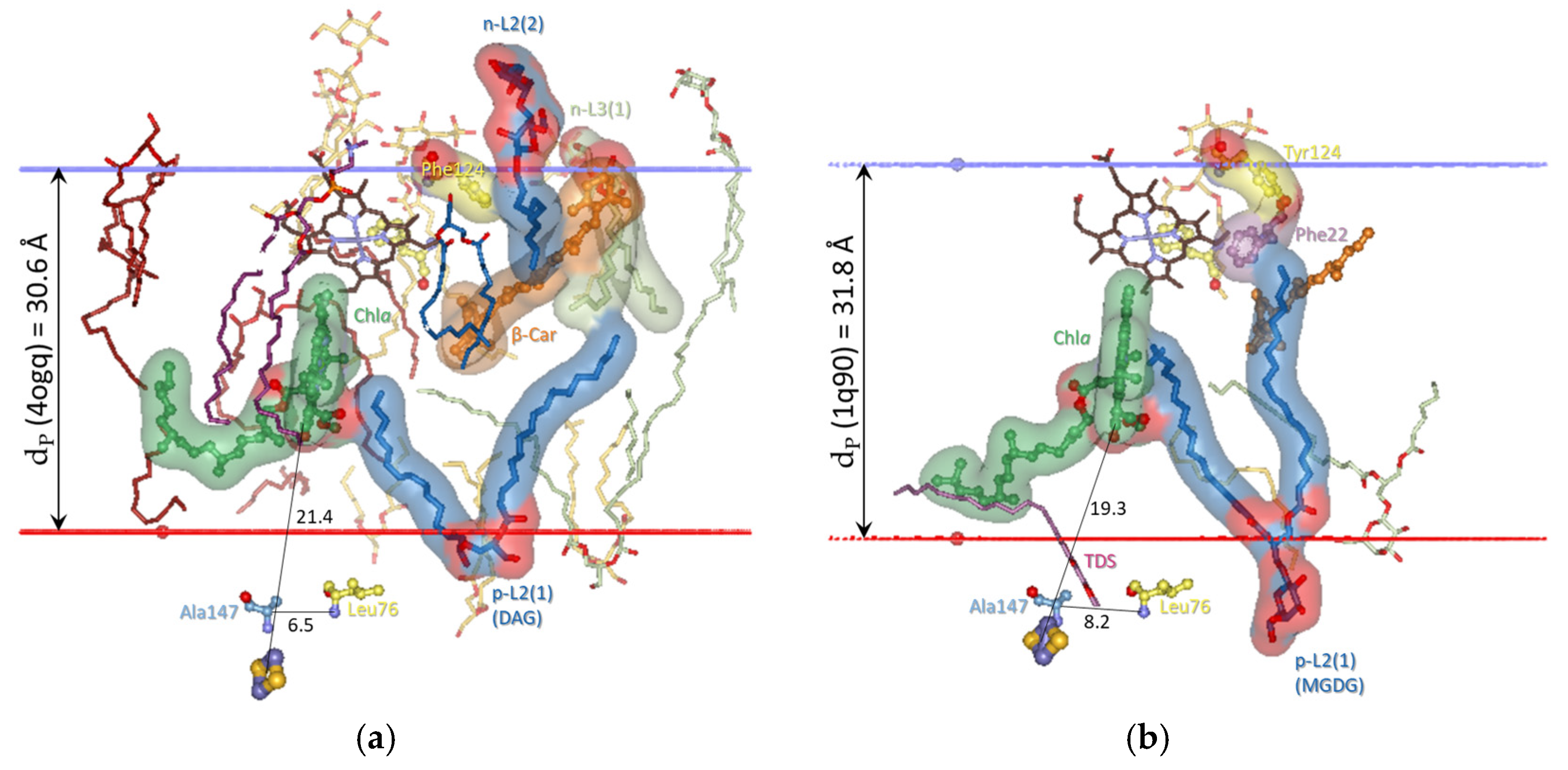 Membranes 15 00143 g007