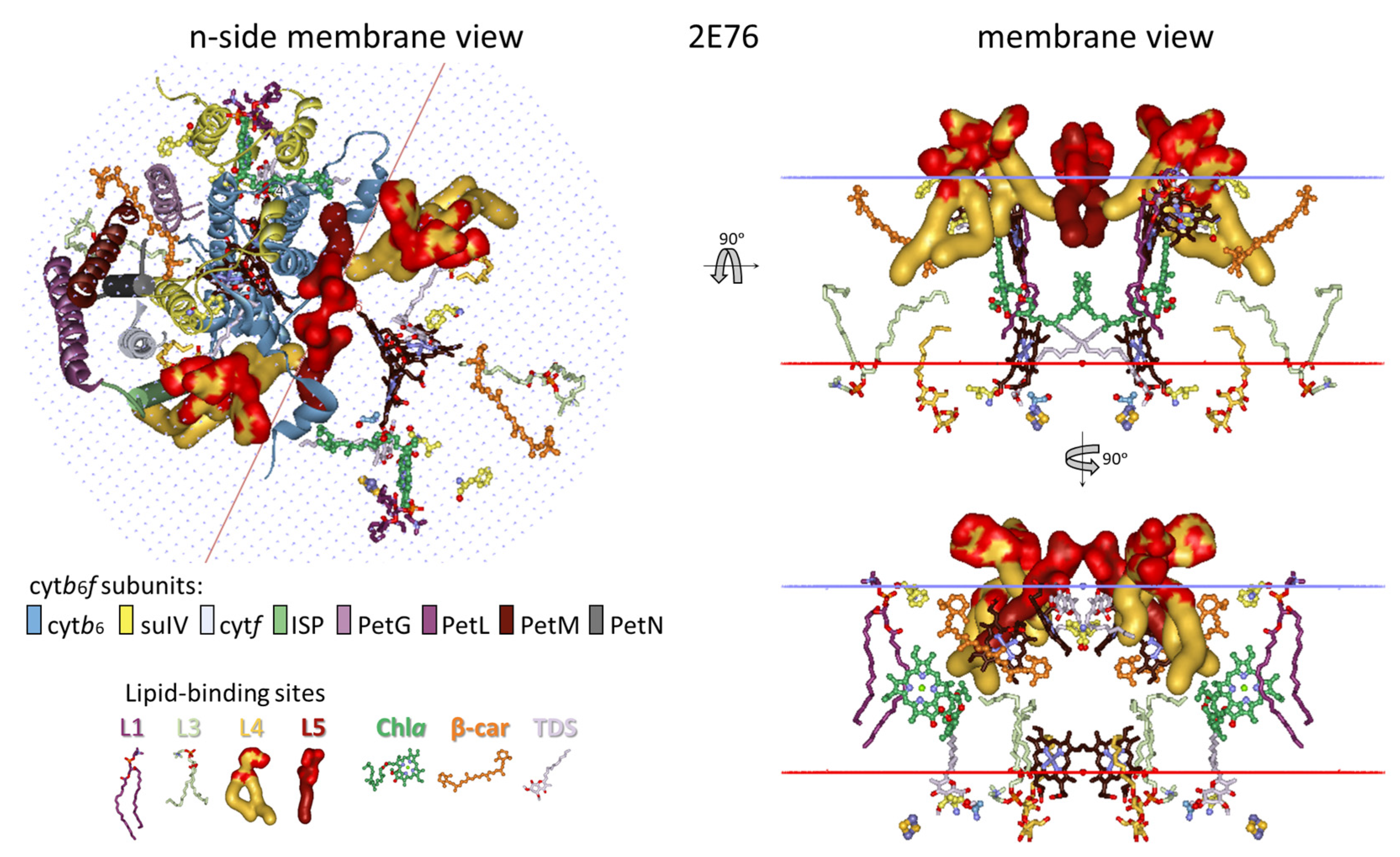 Membranes 15 00143 g009