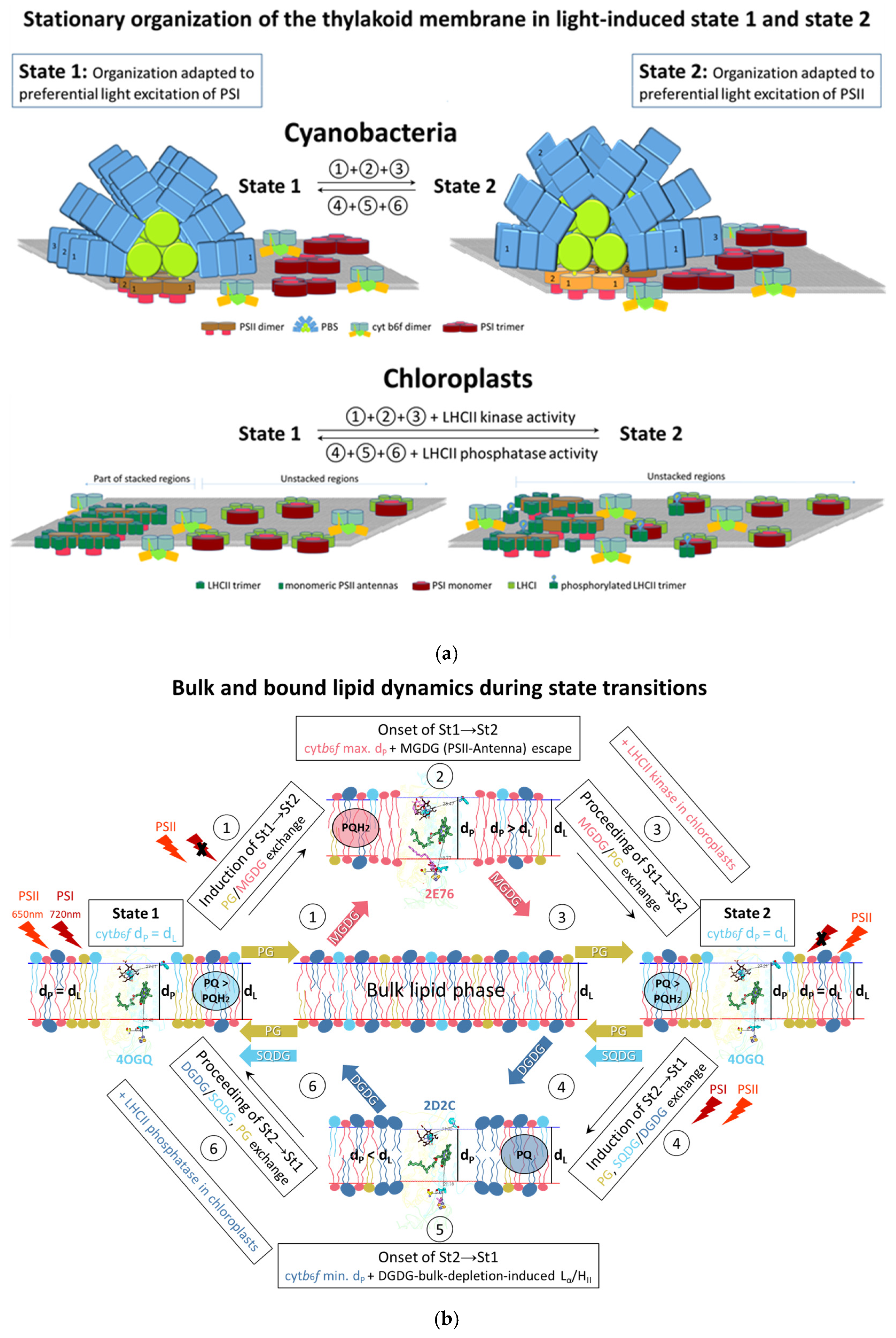Membranes 15 00143 g010