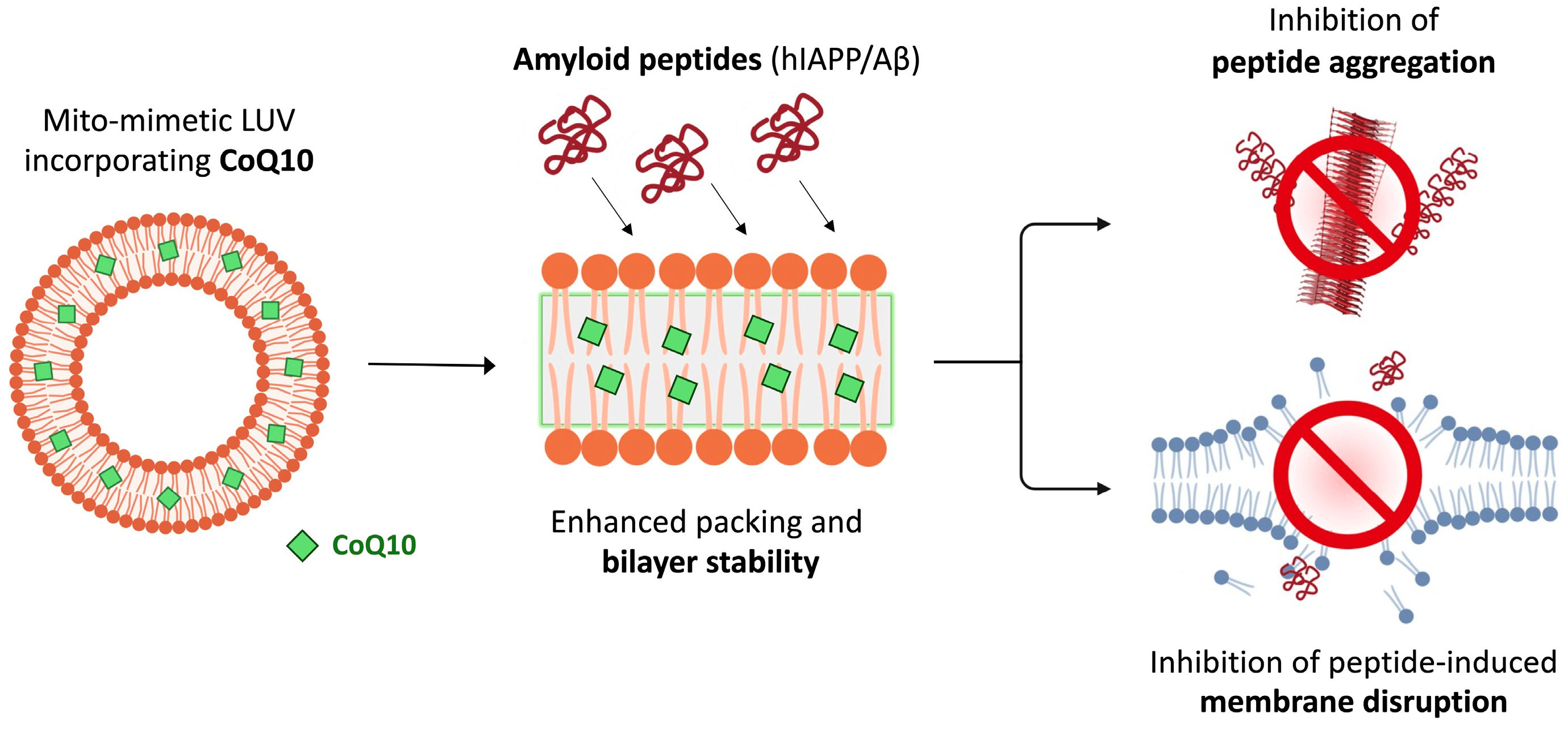 Membranes 15 00148 g006