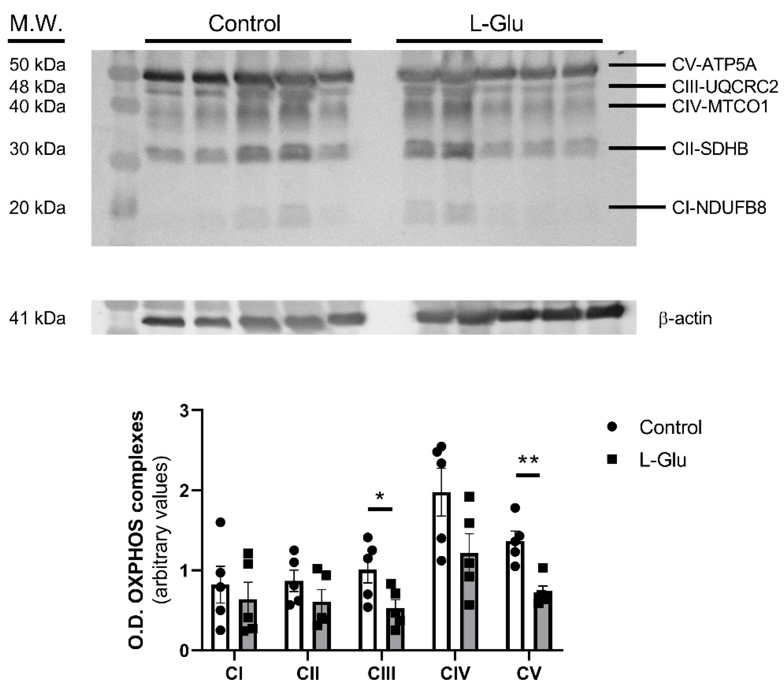 Membranes 15 00152 g001