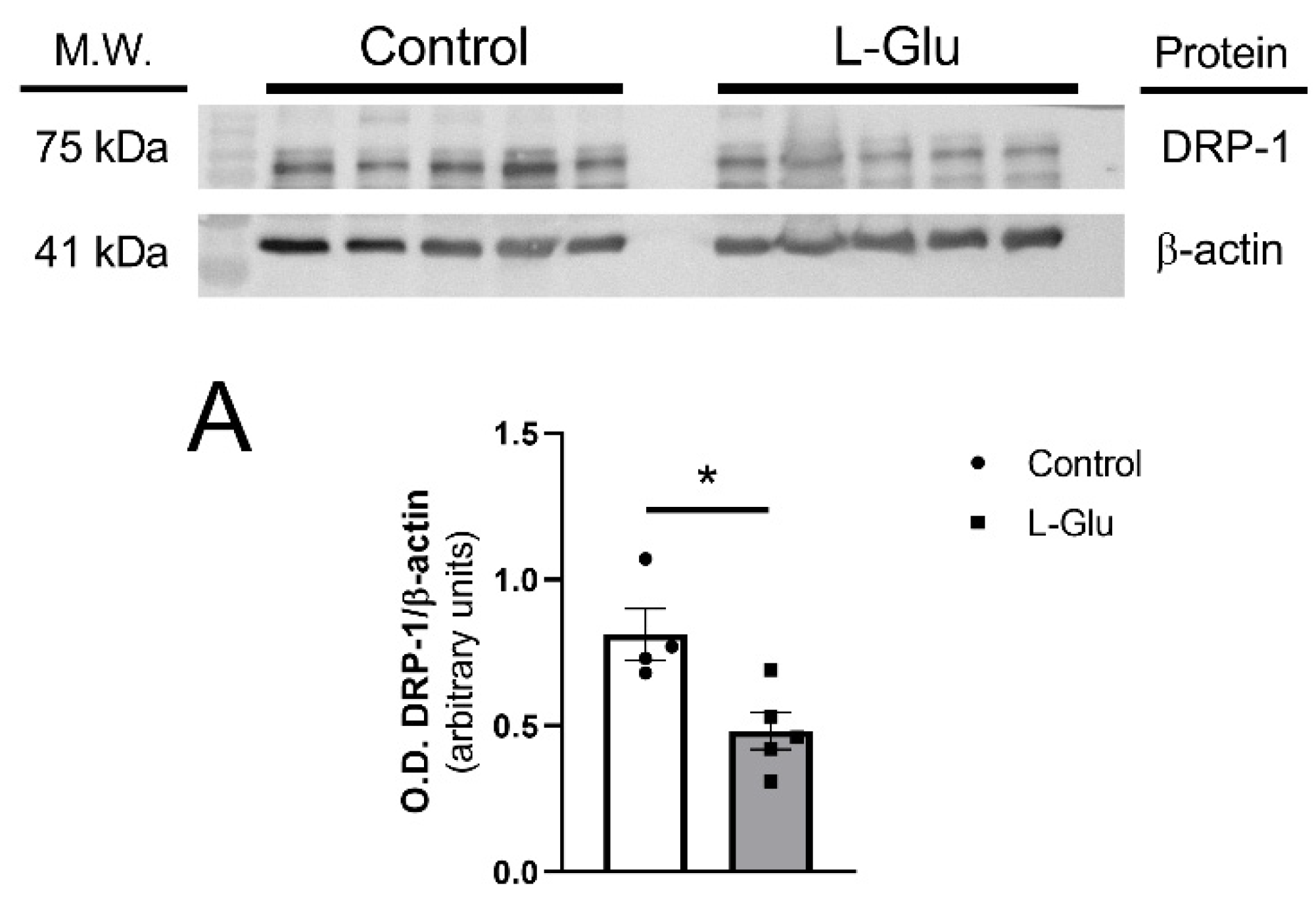 Membranes 15 00152 g002a