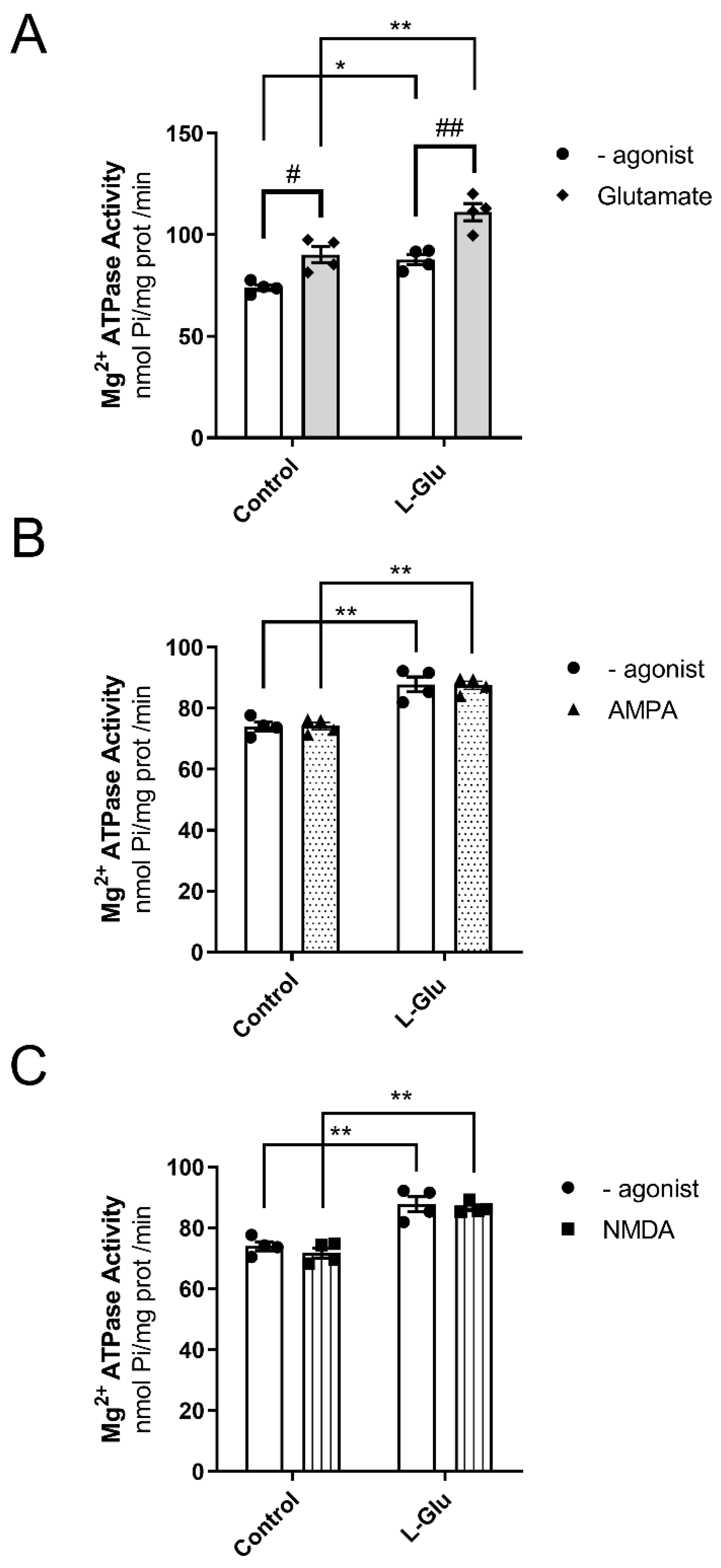 Membranes 15 00152 g003