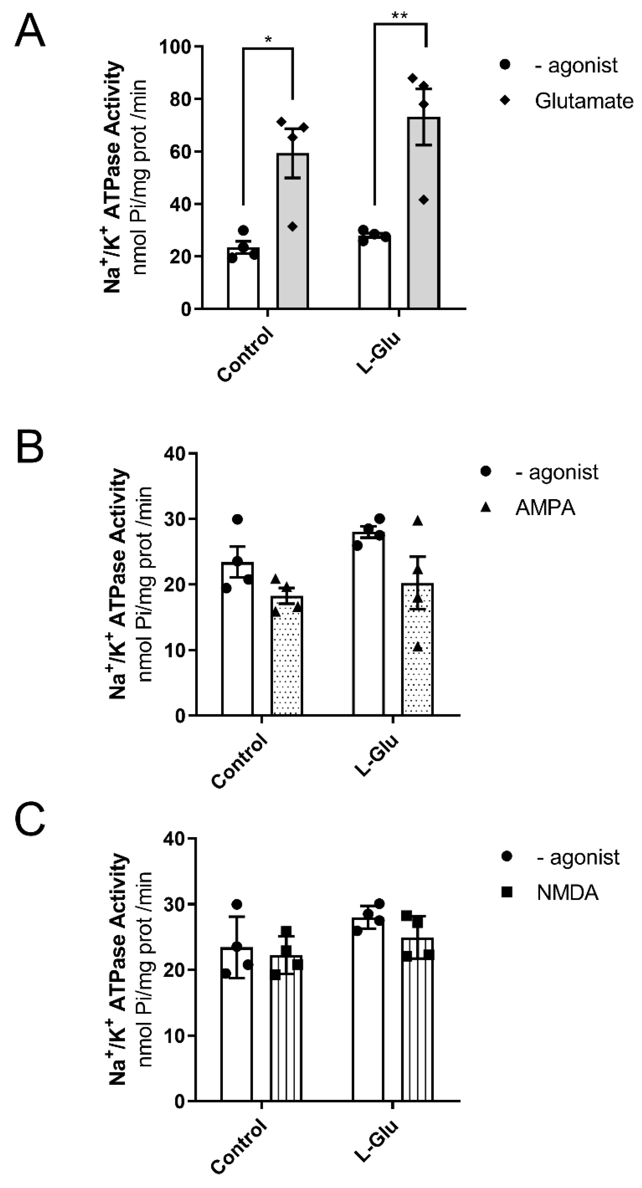 Membranes 15 00152 g005