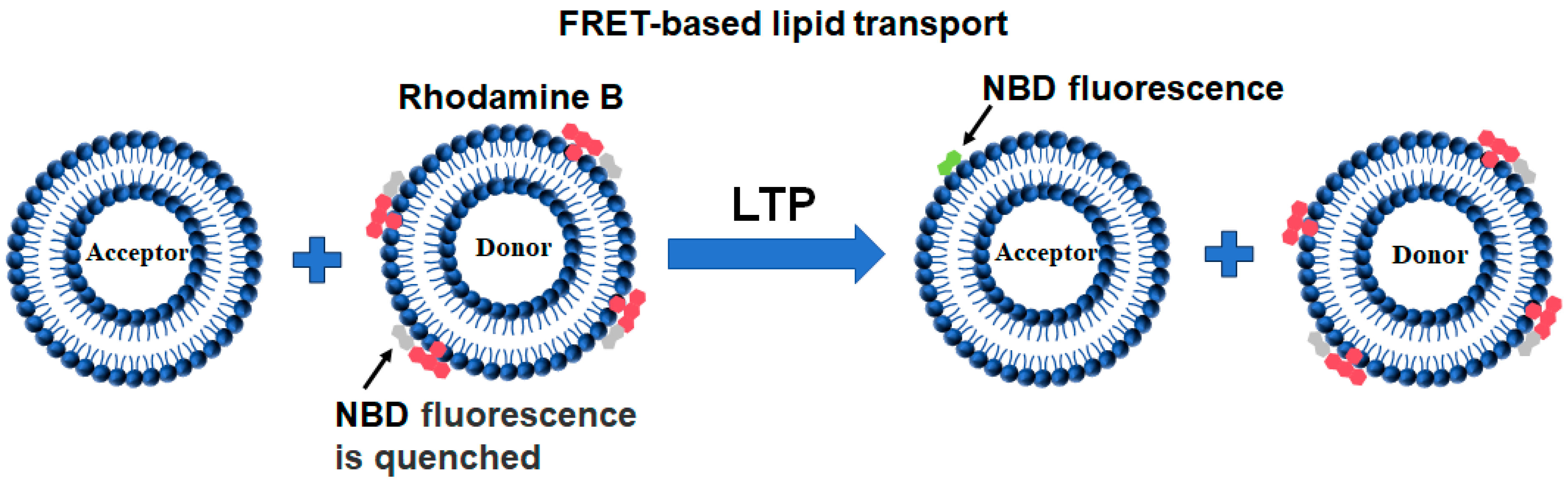 Membranes 15 00154 g006