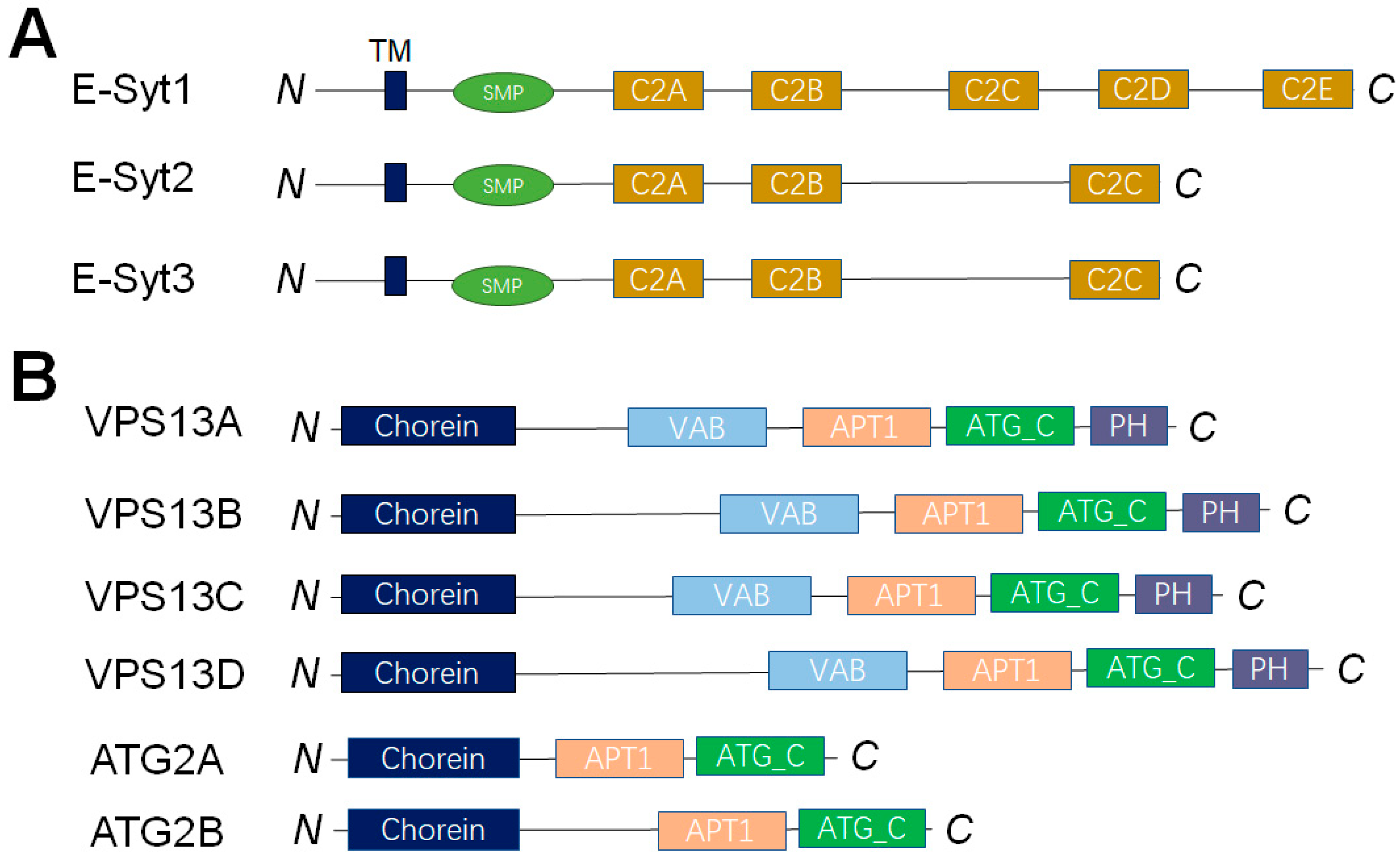 Membranes 15 00154 g008