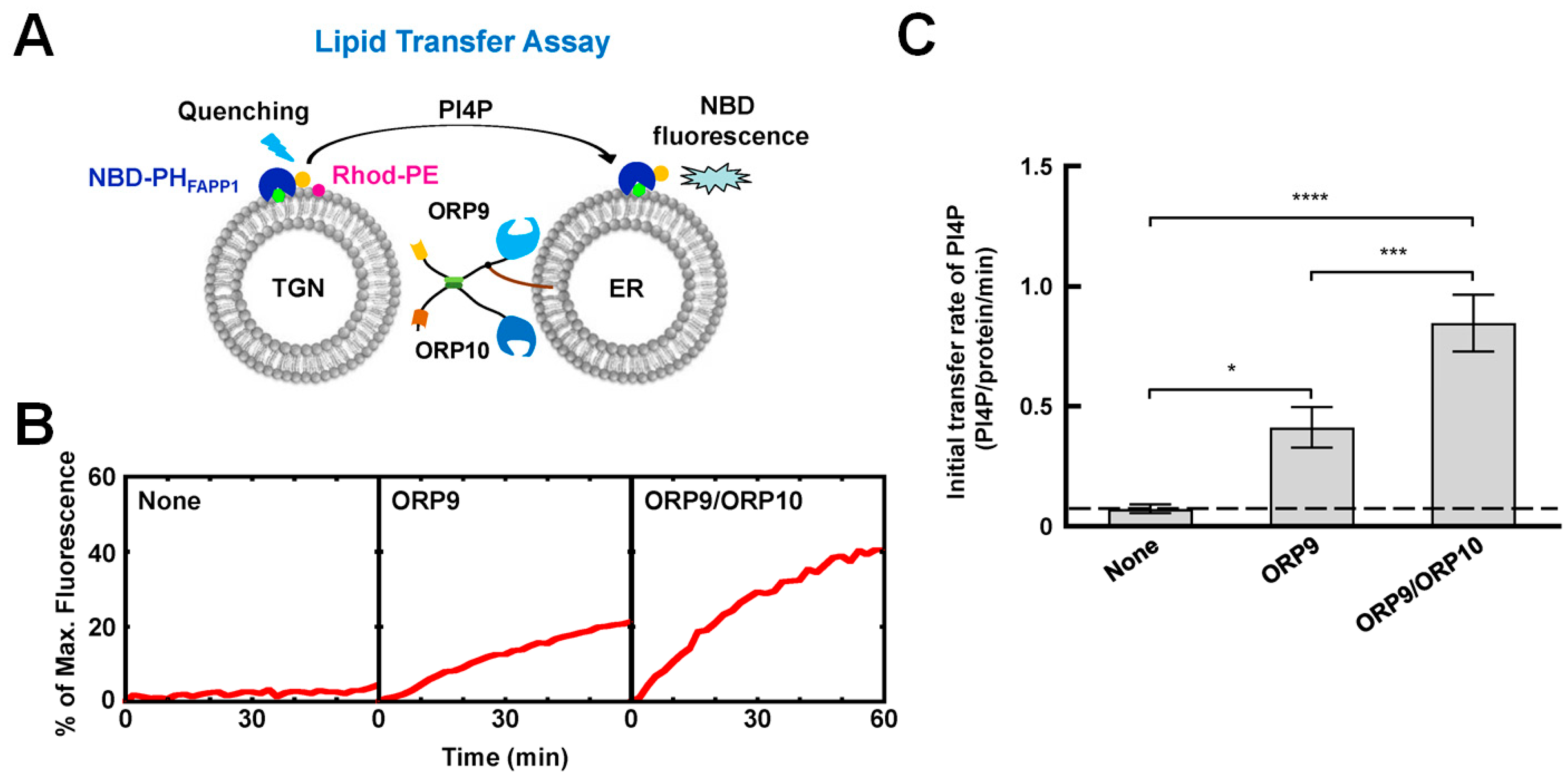 Membranes 15 00154 g009
