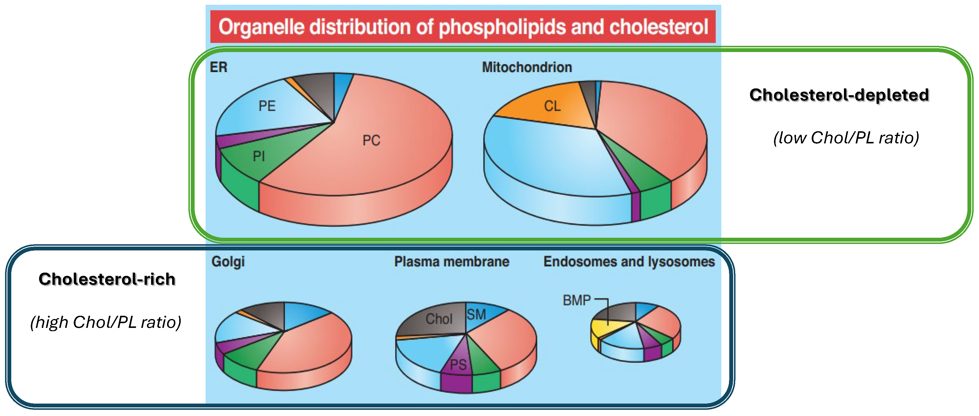 Membranes 15 00159 g001