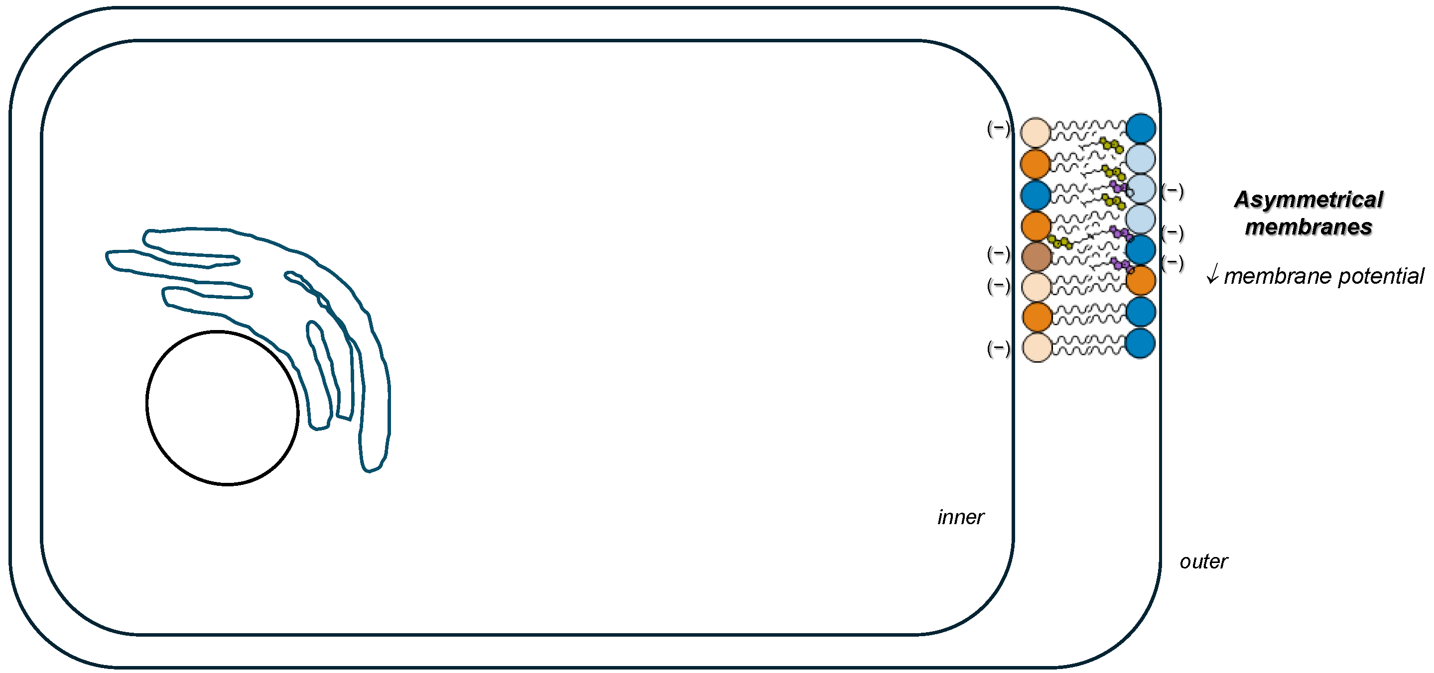 Membranes 15 00159 g005