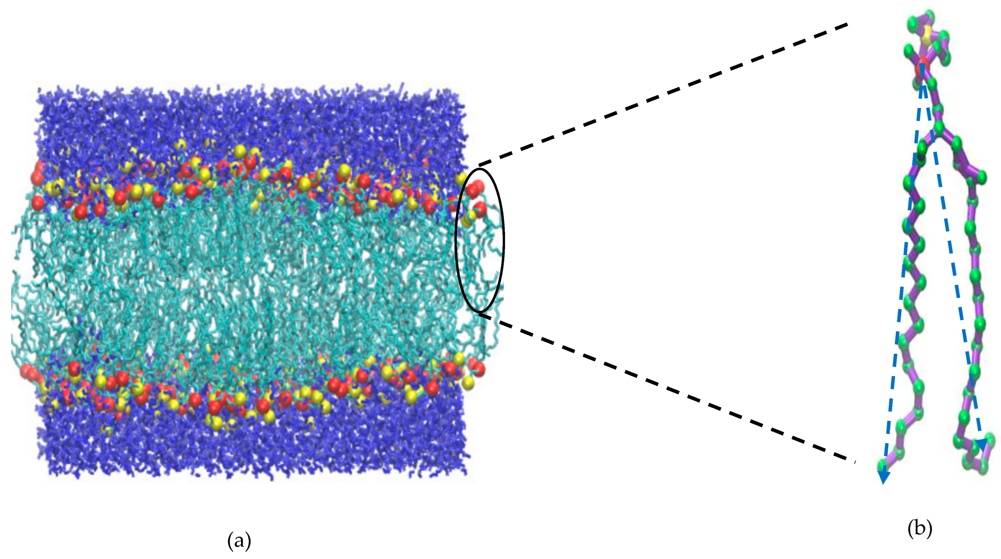 Membranes 15 00161 g001