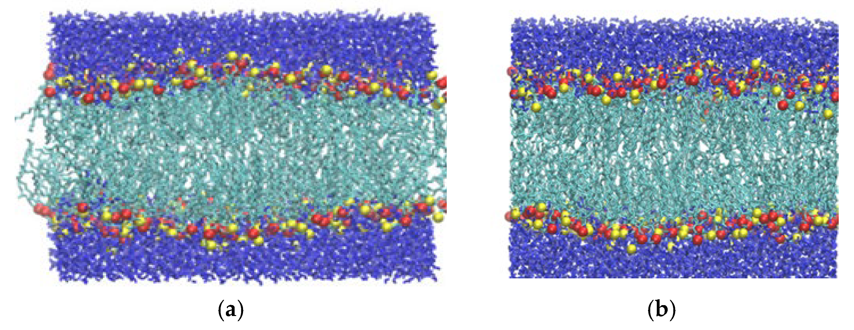 Membranes 15 00161 g004a