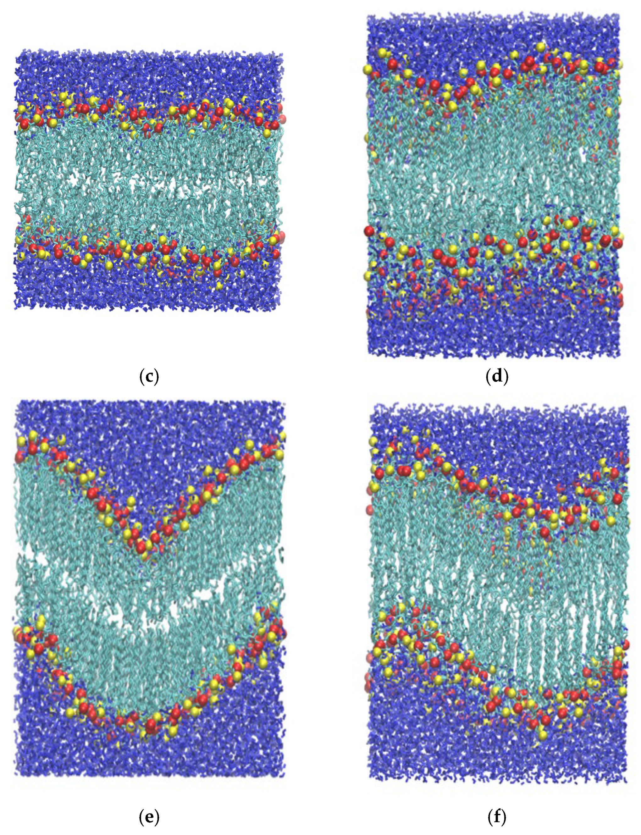 Membranes 15 00161 g004b