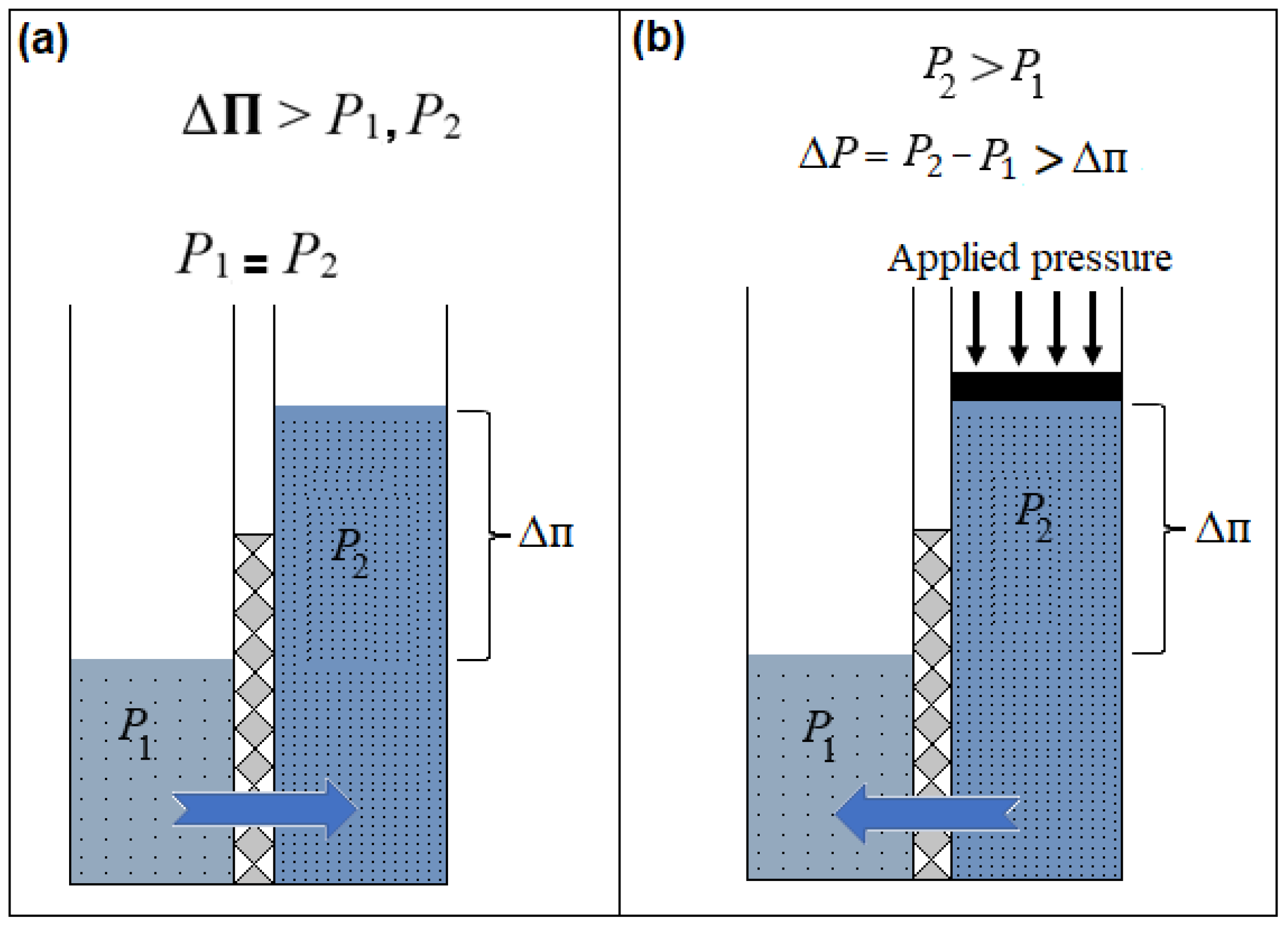 Membranes 15 00162 g001