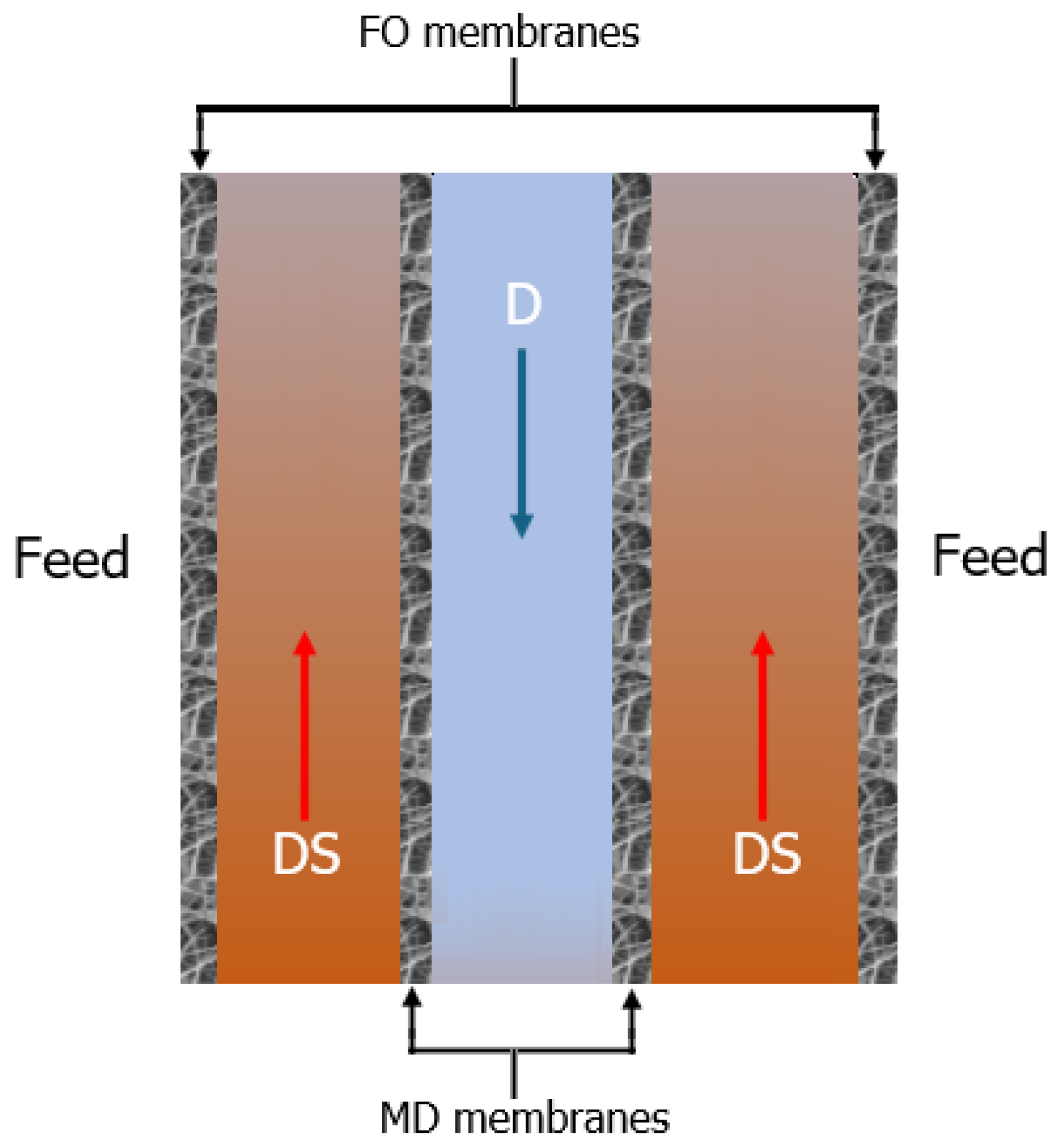 Membranes 15 00162 g011