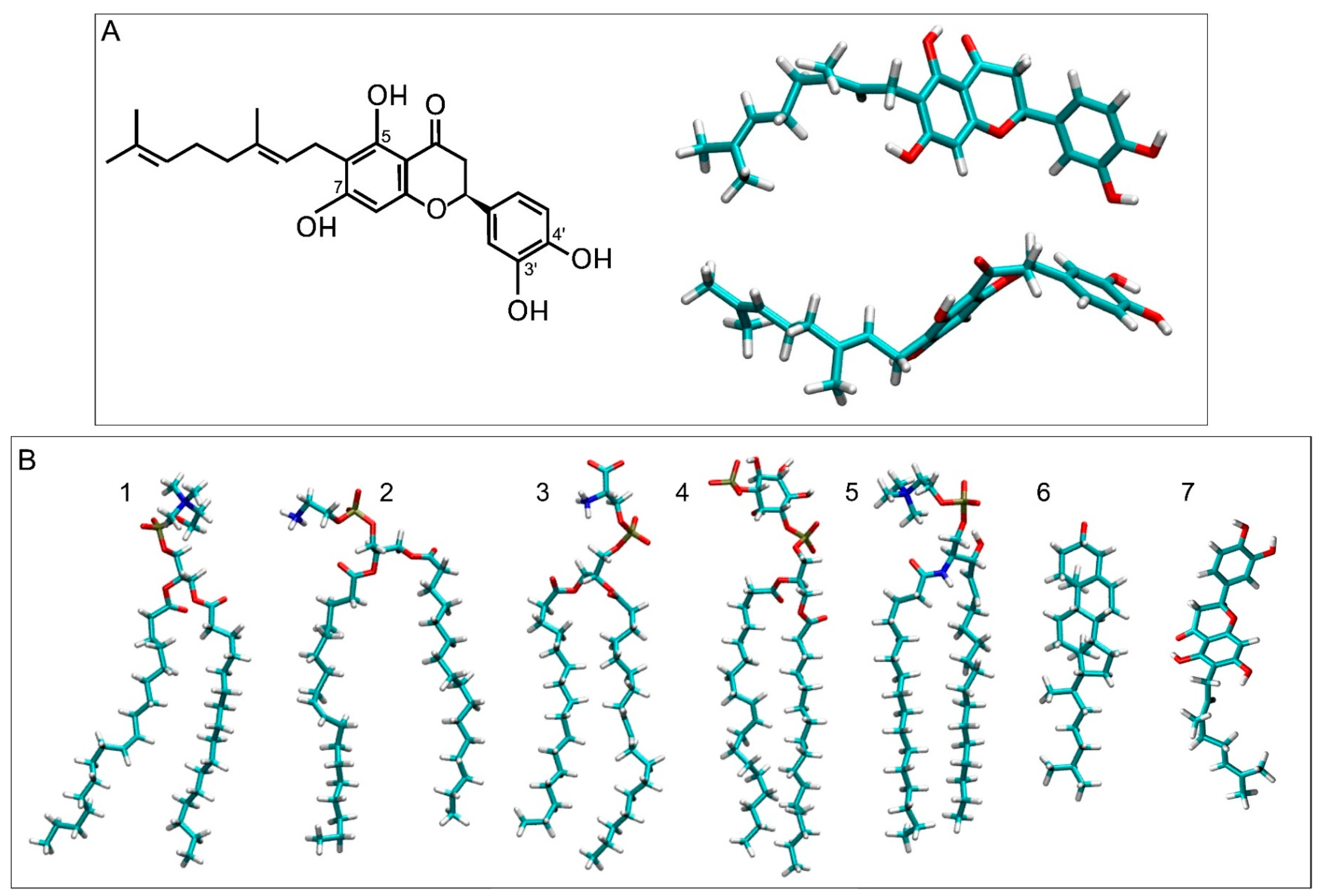 Membranes 15 00163 g001