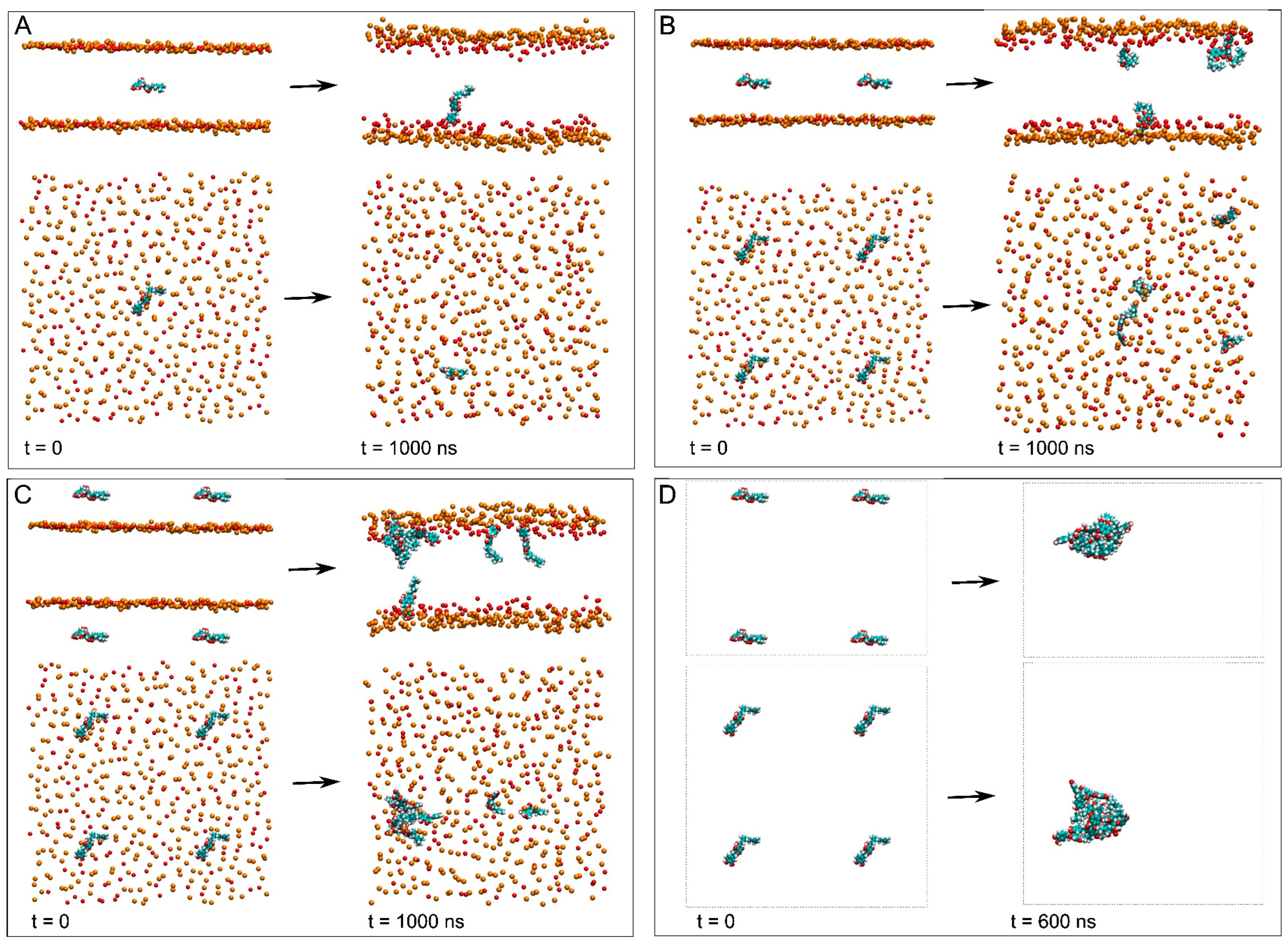 Membranes 15 00163 g002