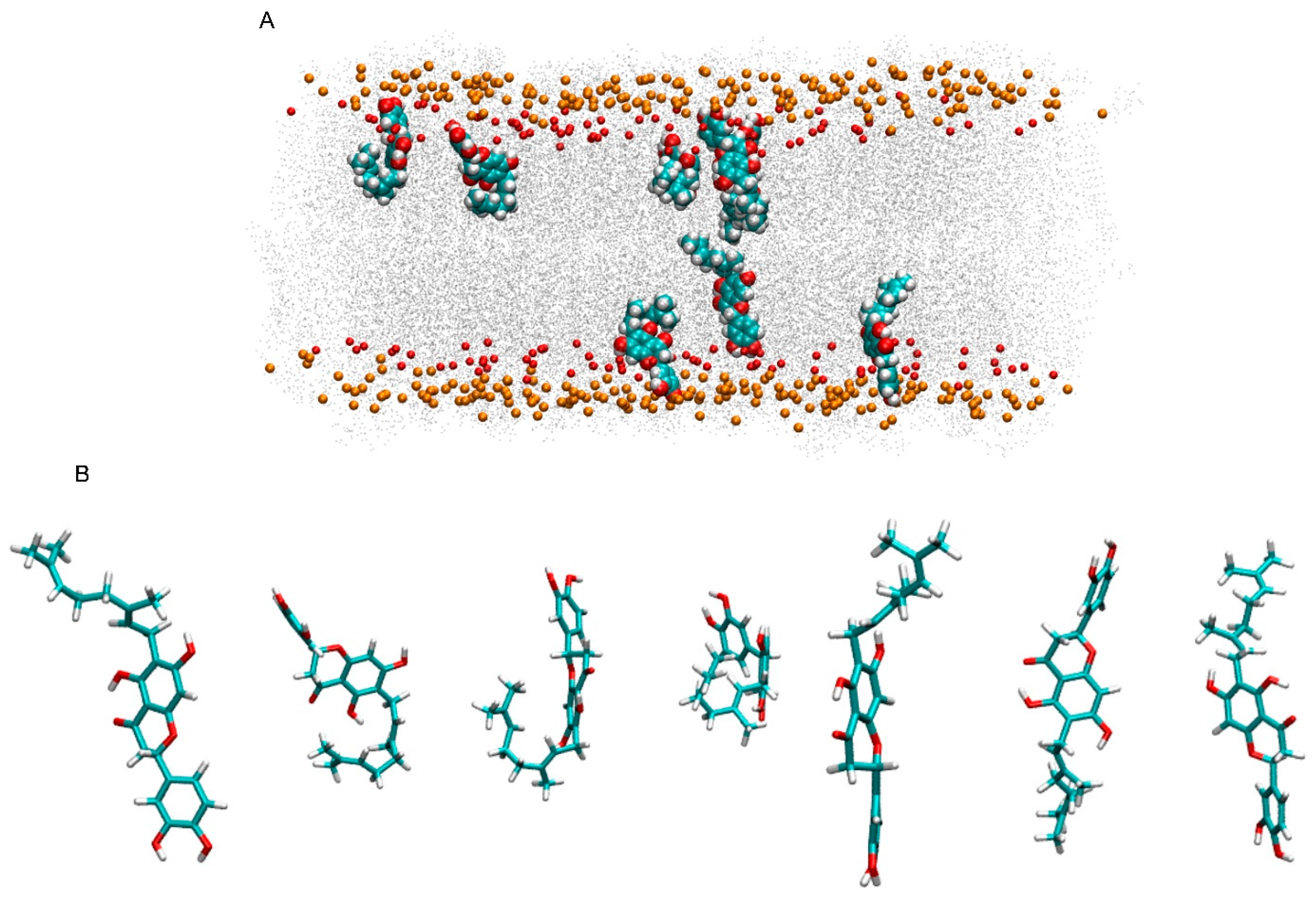 Membranes 15 00163 g006