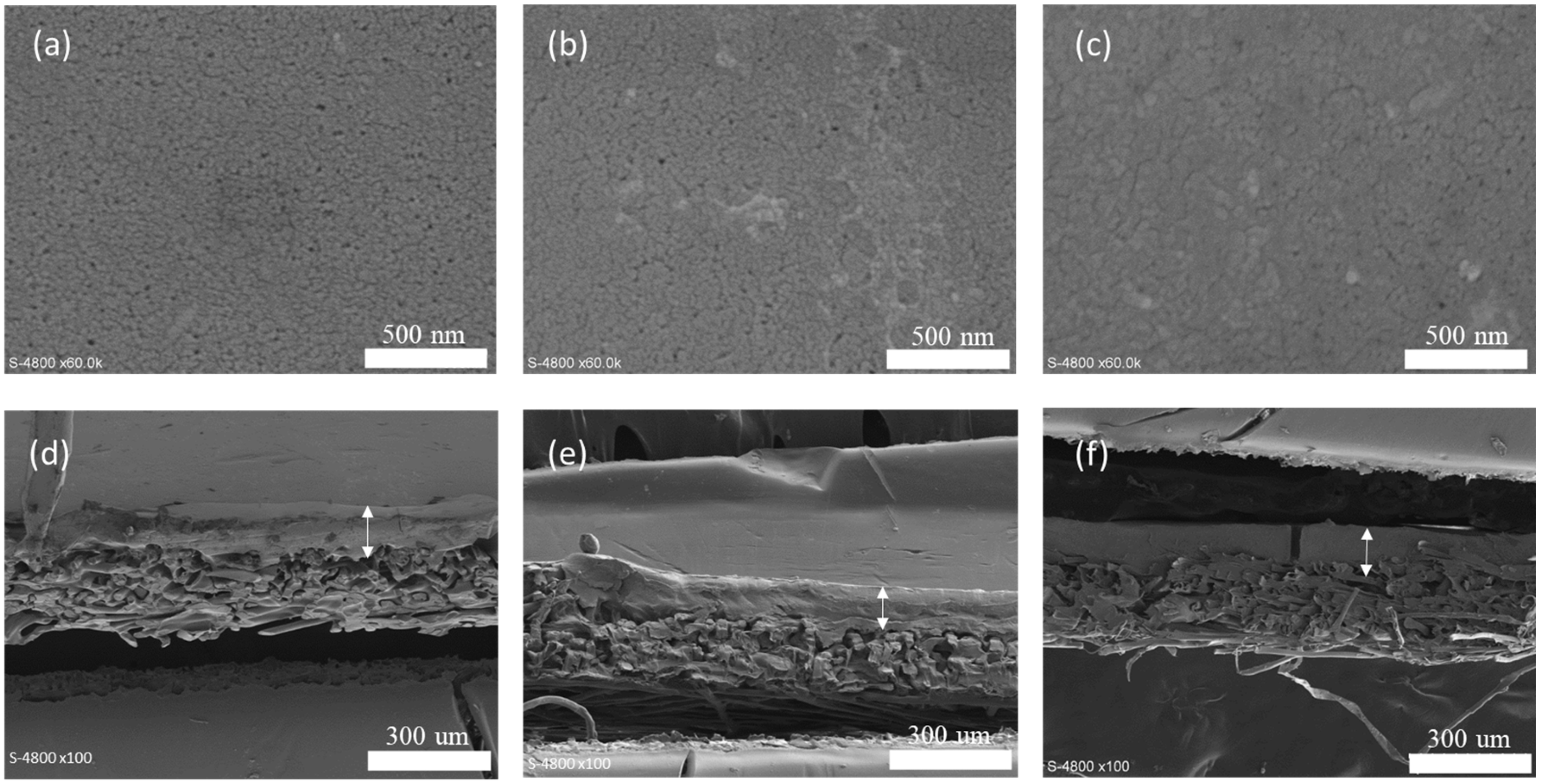 Membranes 15 00164 g002
