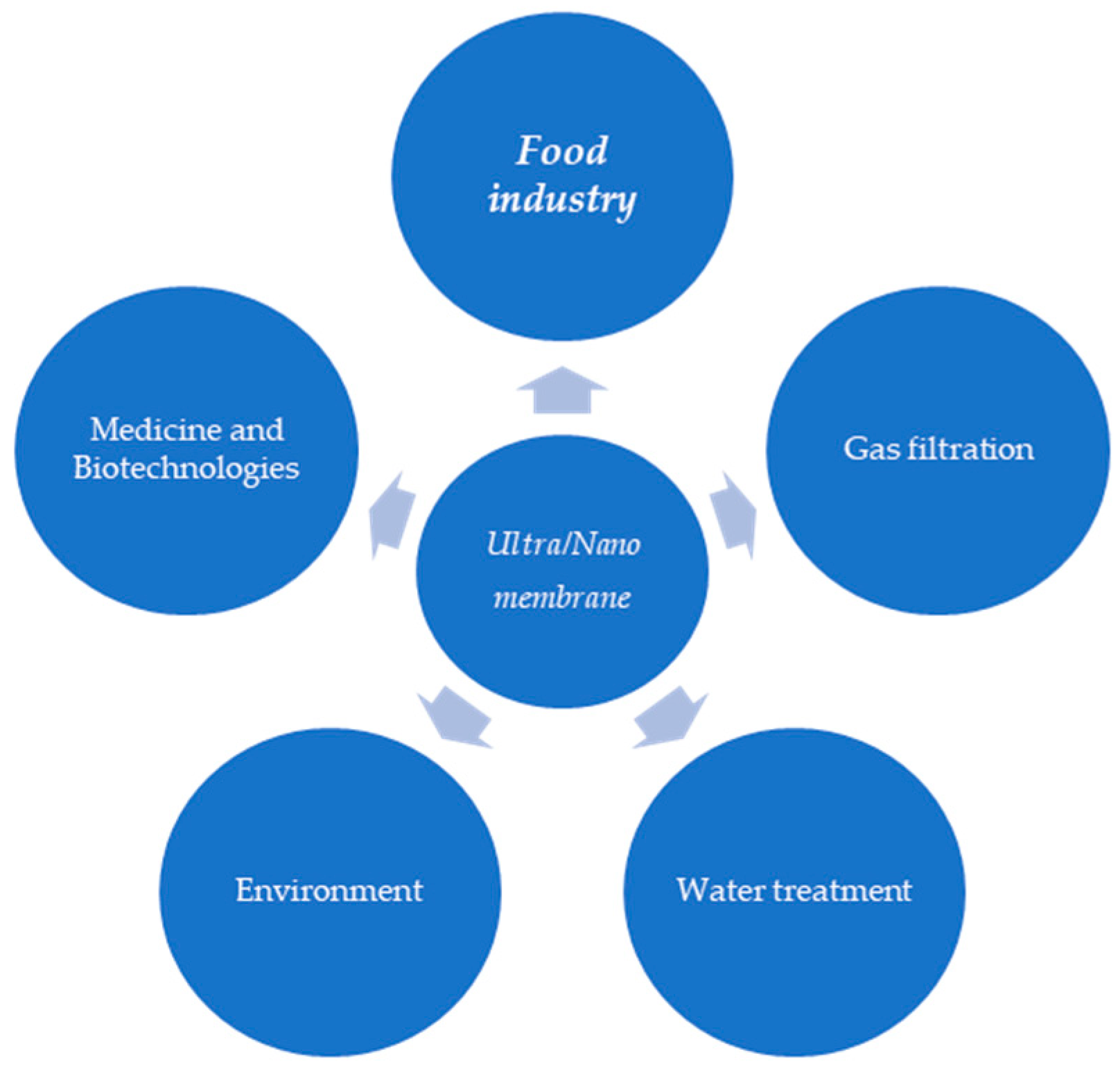 Membranes 15 00167 g001 Membranes 15 00167 g001
