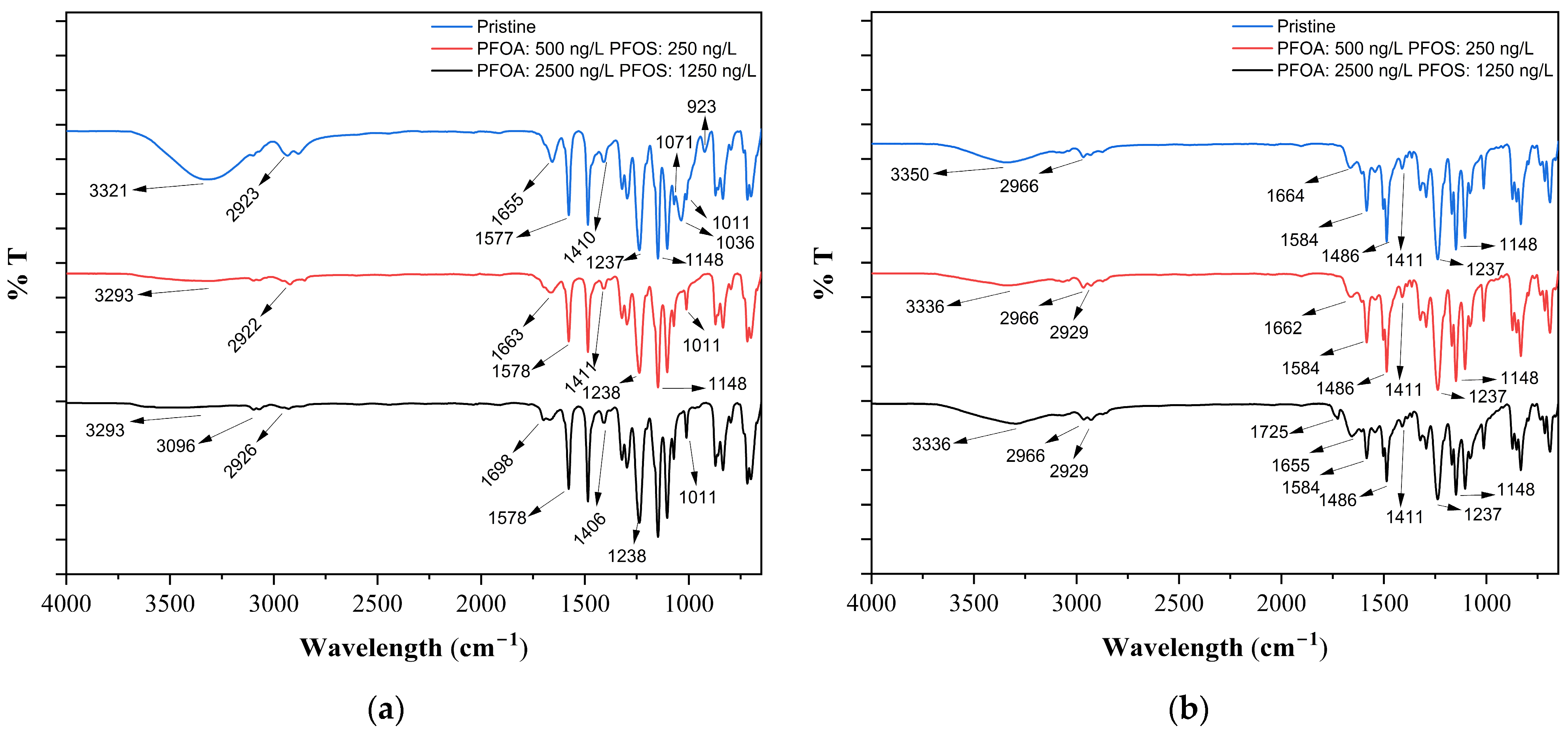 Membranes 15 00172 g007a