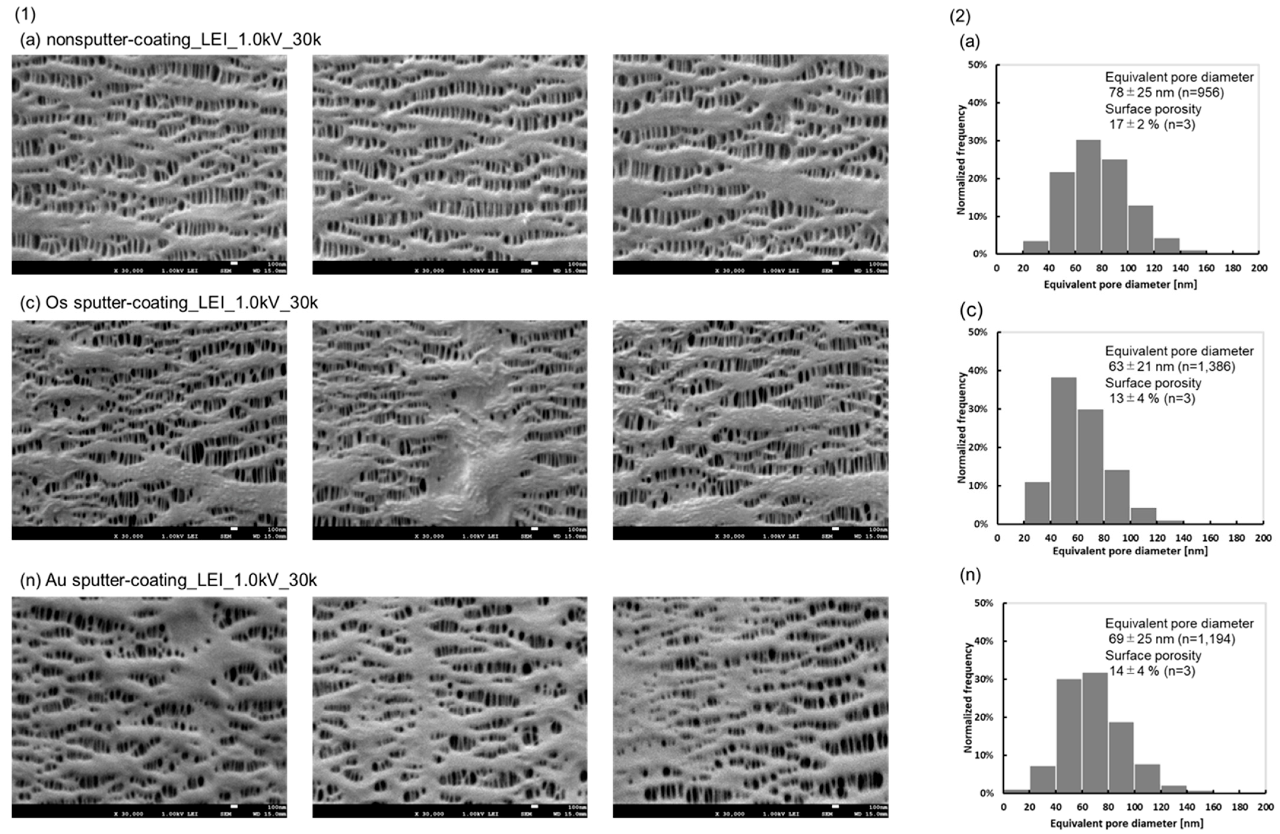Membranes 15 00174 g002