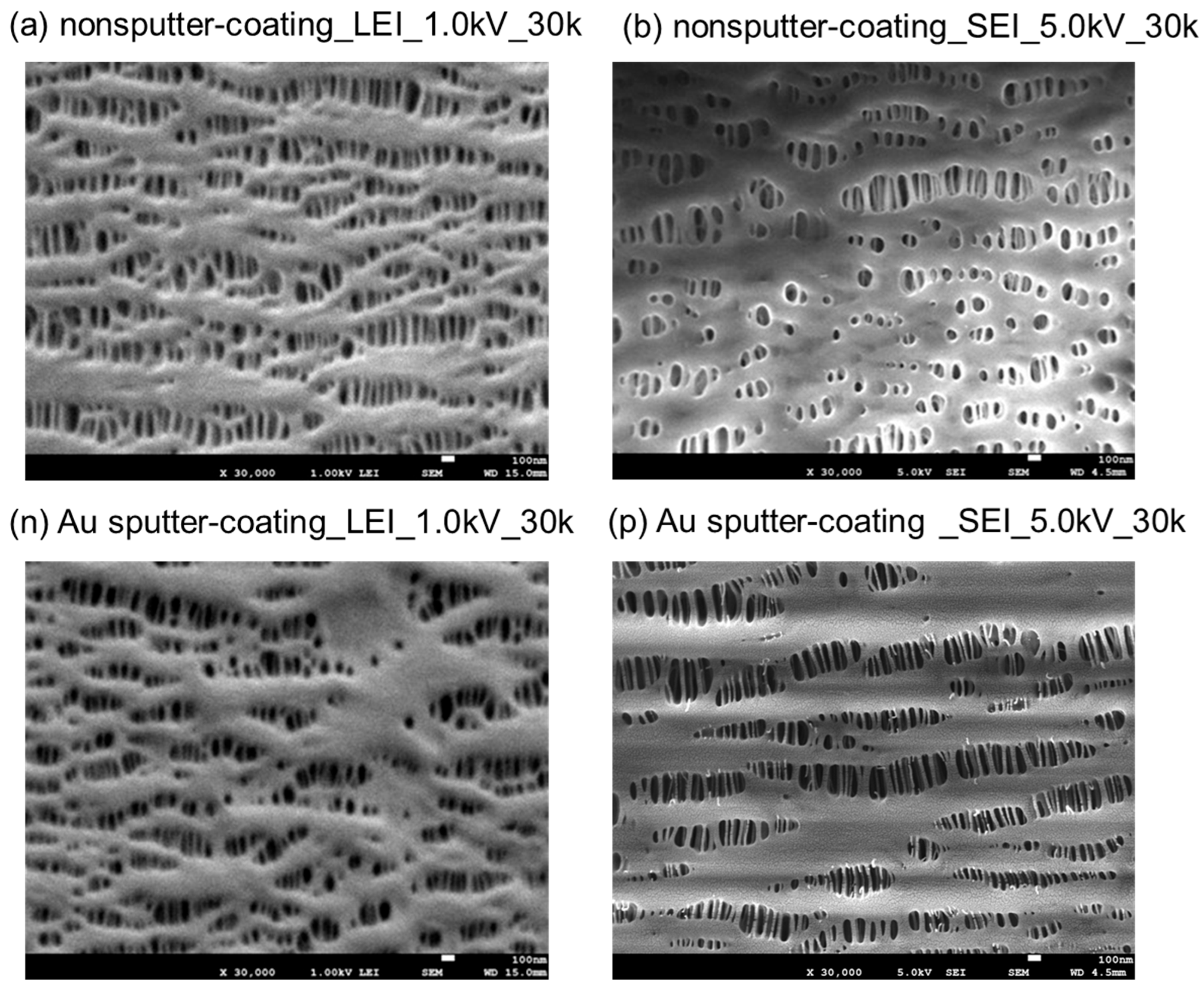 Membranes 15 00174 g004