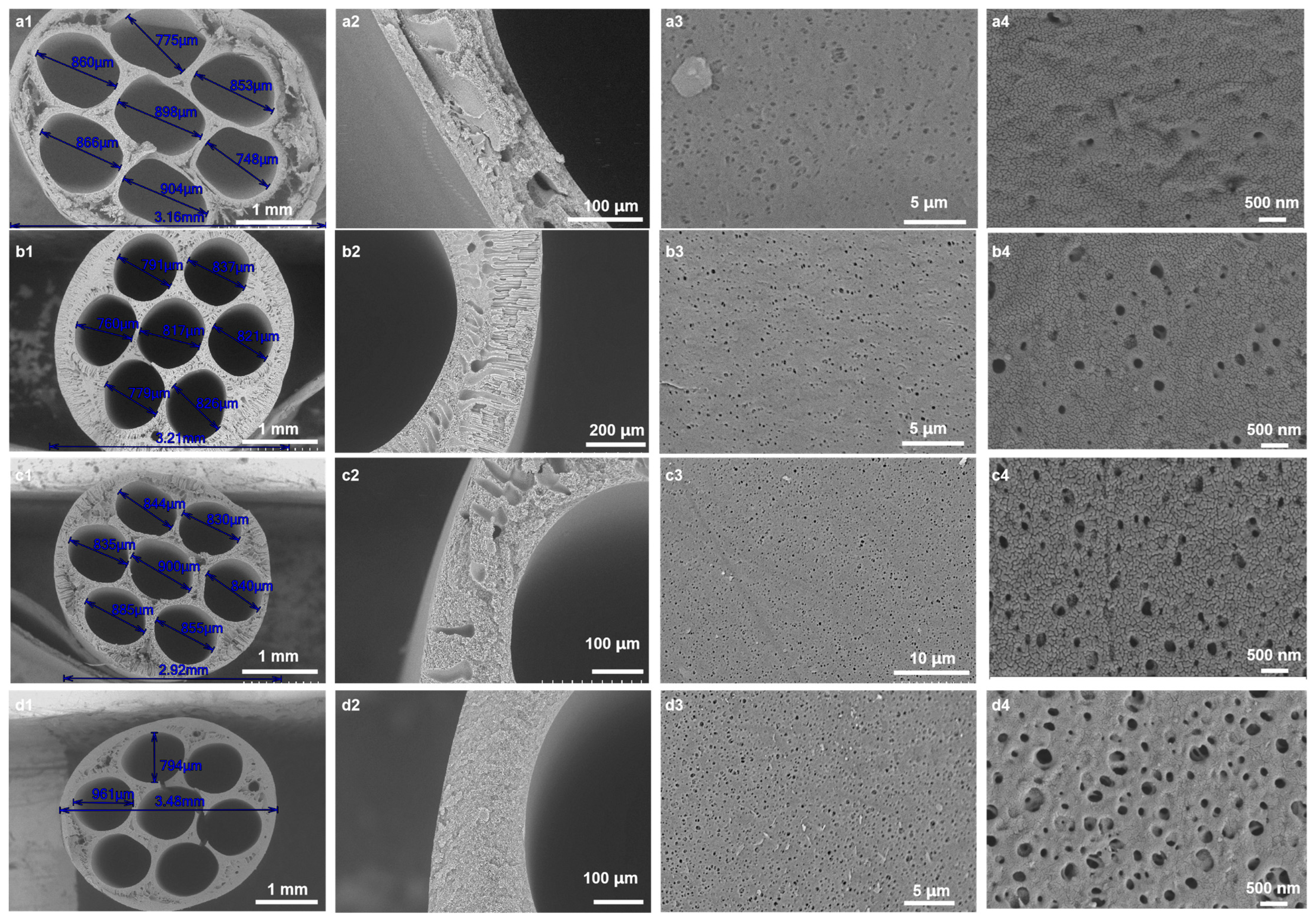 Membranes 15 00175 g002