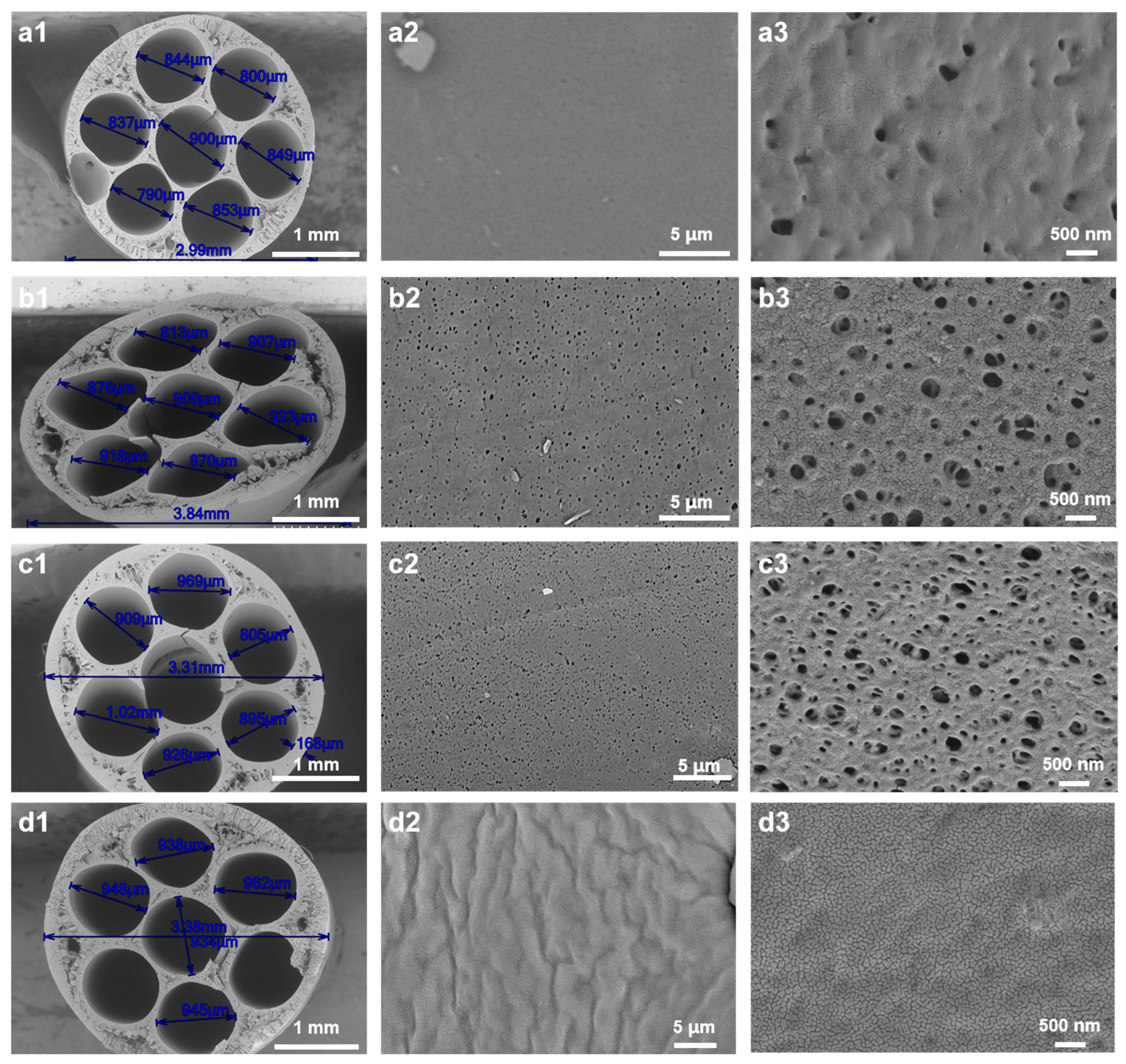 Membranes 15 00175 g005
