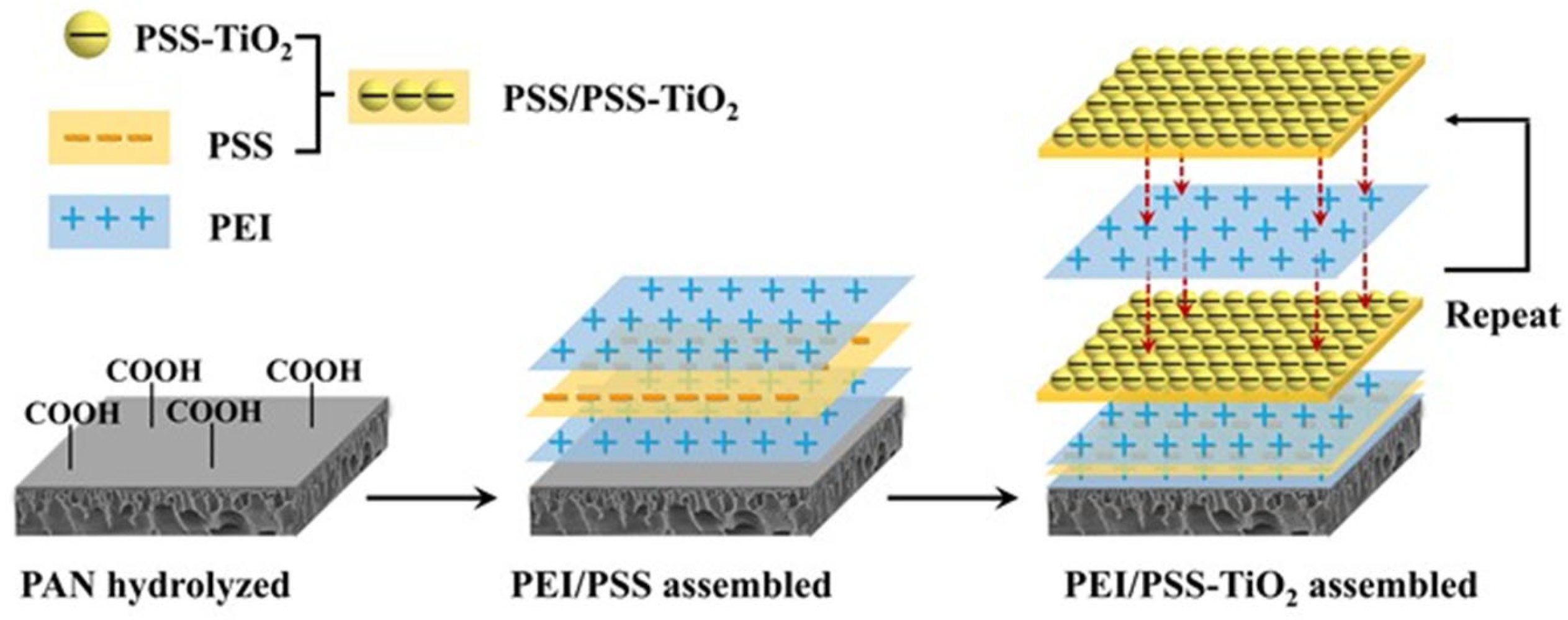 Membranes 15 00179 g001