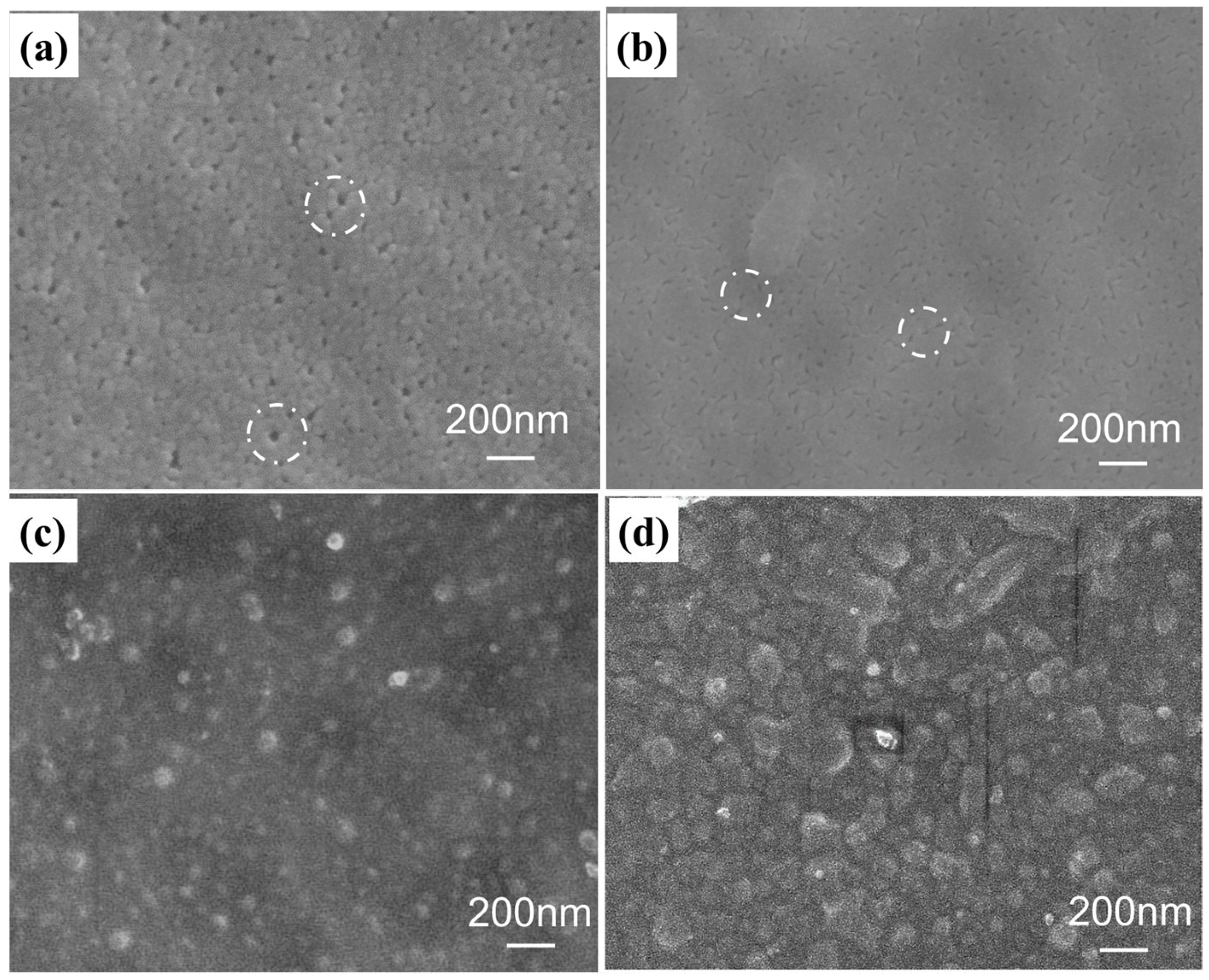 Membranes 15 00179 g003