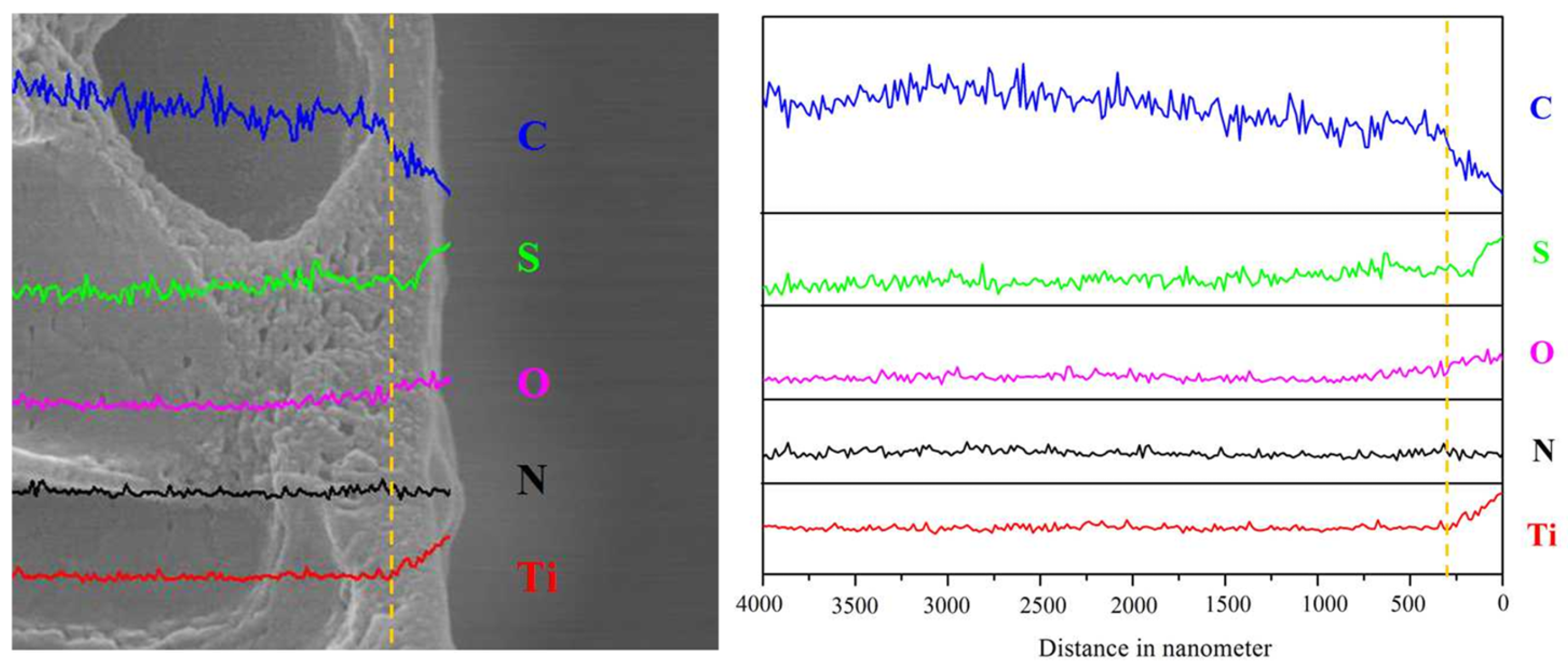 Membranes 15 00179 g005