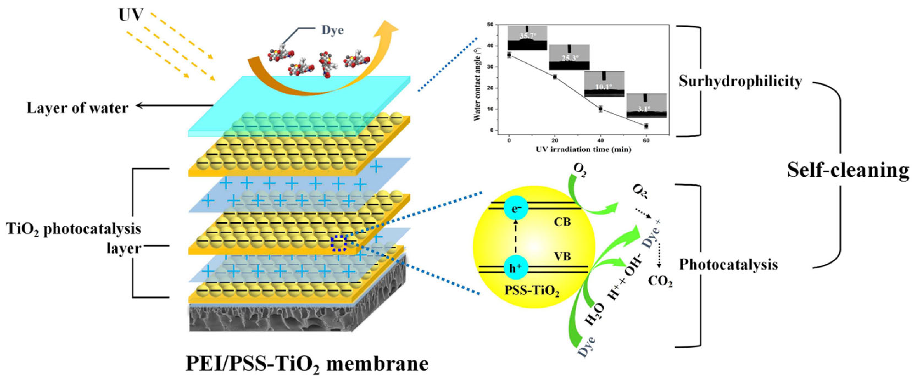 Membranes 15 00179 g010