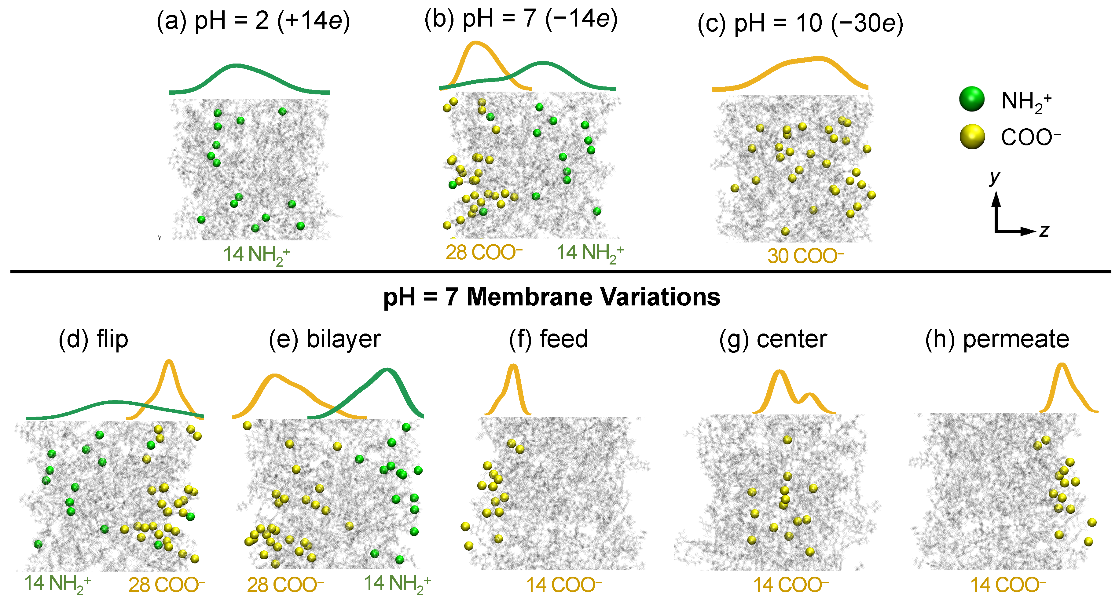 Membranes 15 00184 g003