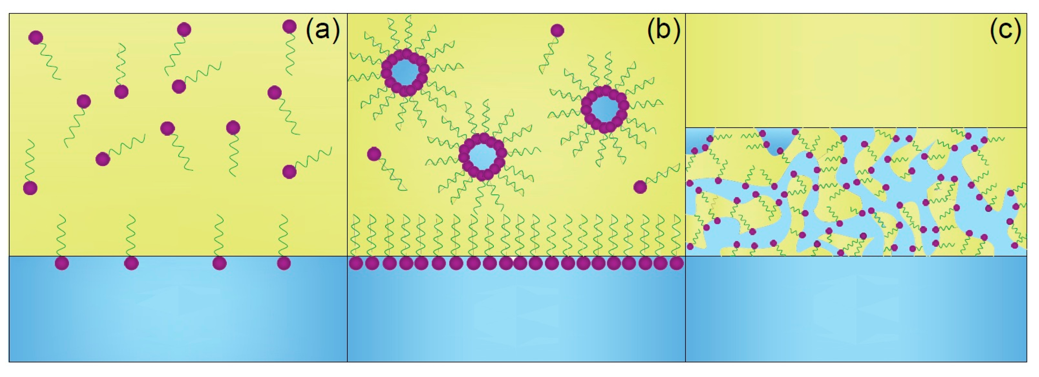 Membranes 15 00188 g001