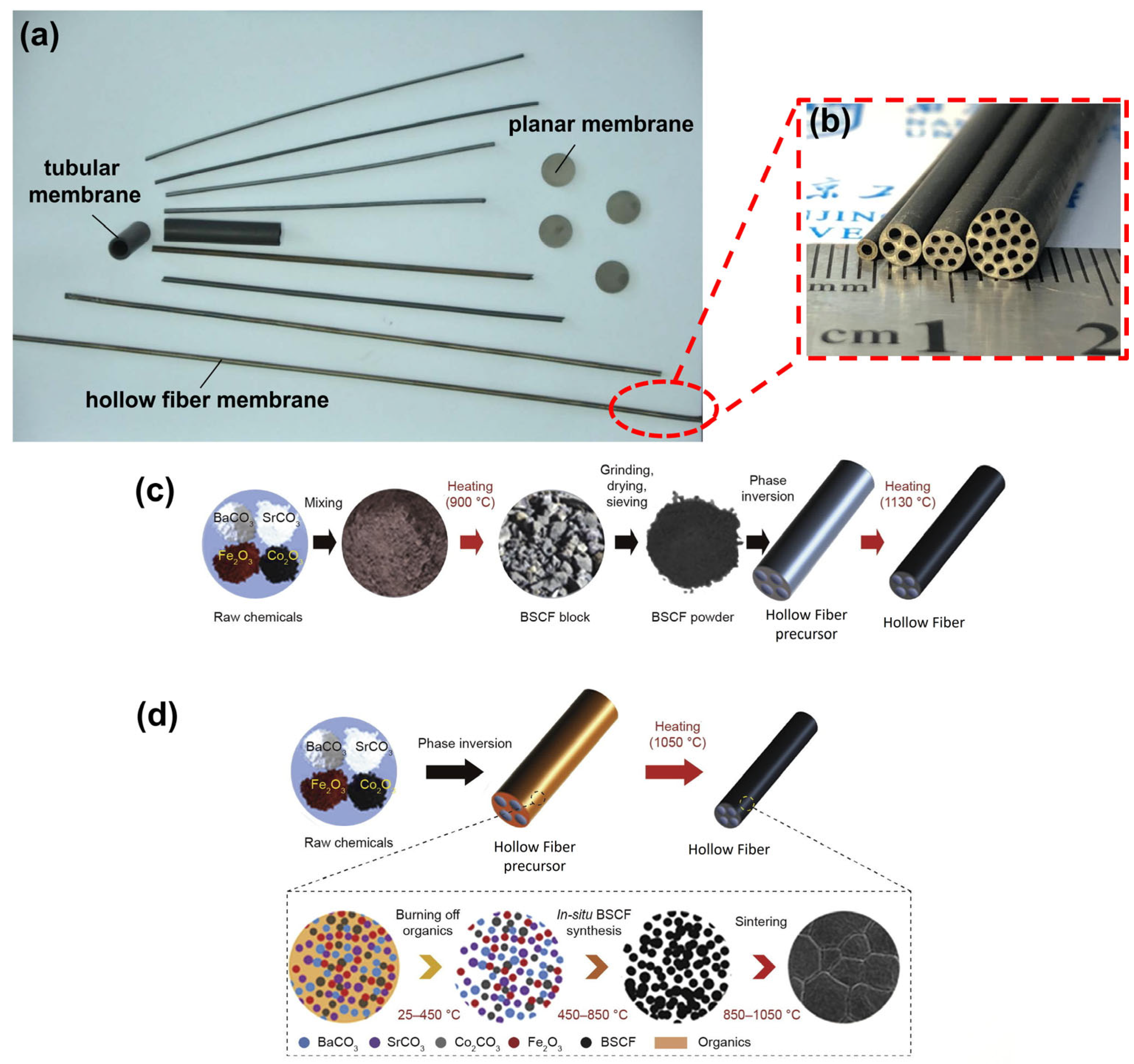 Membranes 15 00193 g003