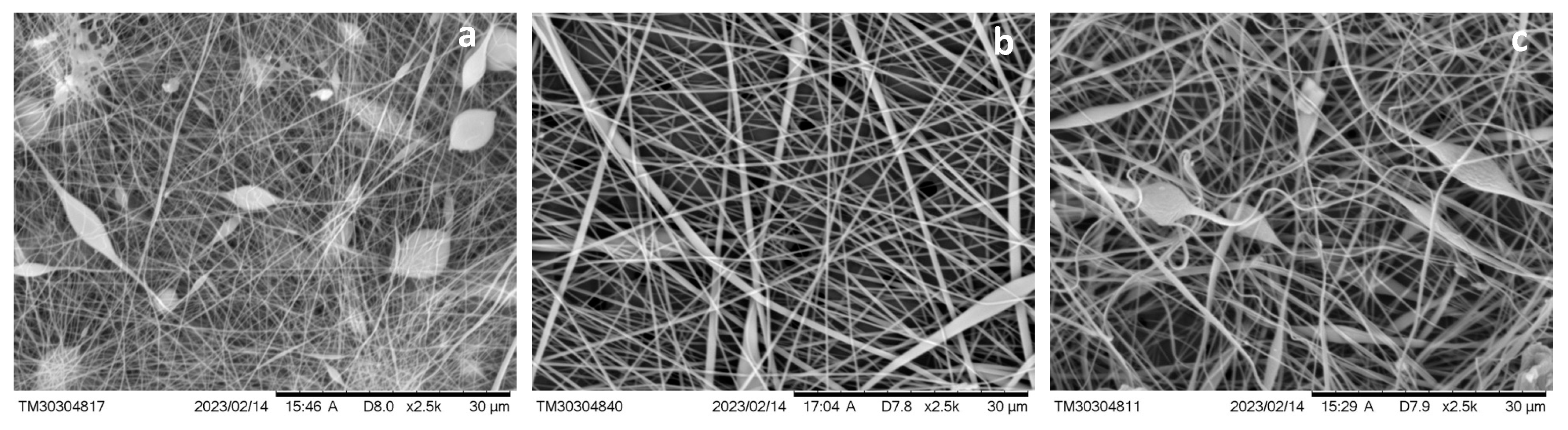 Membranes 15 00202 g004