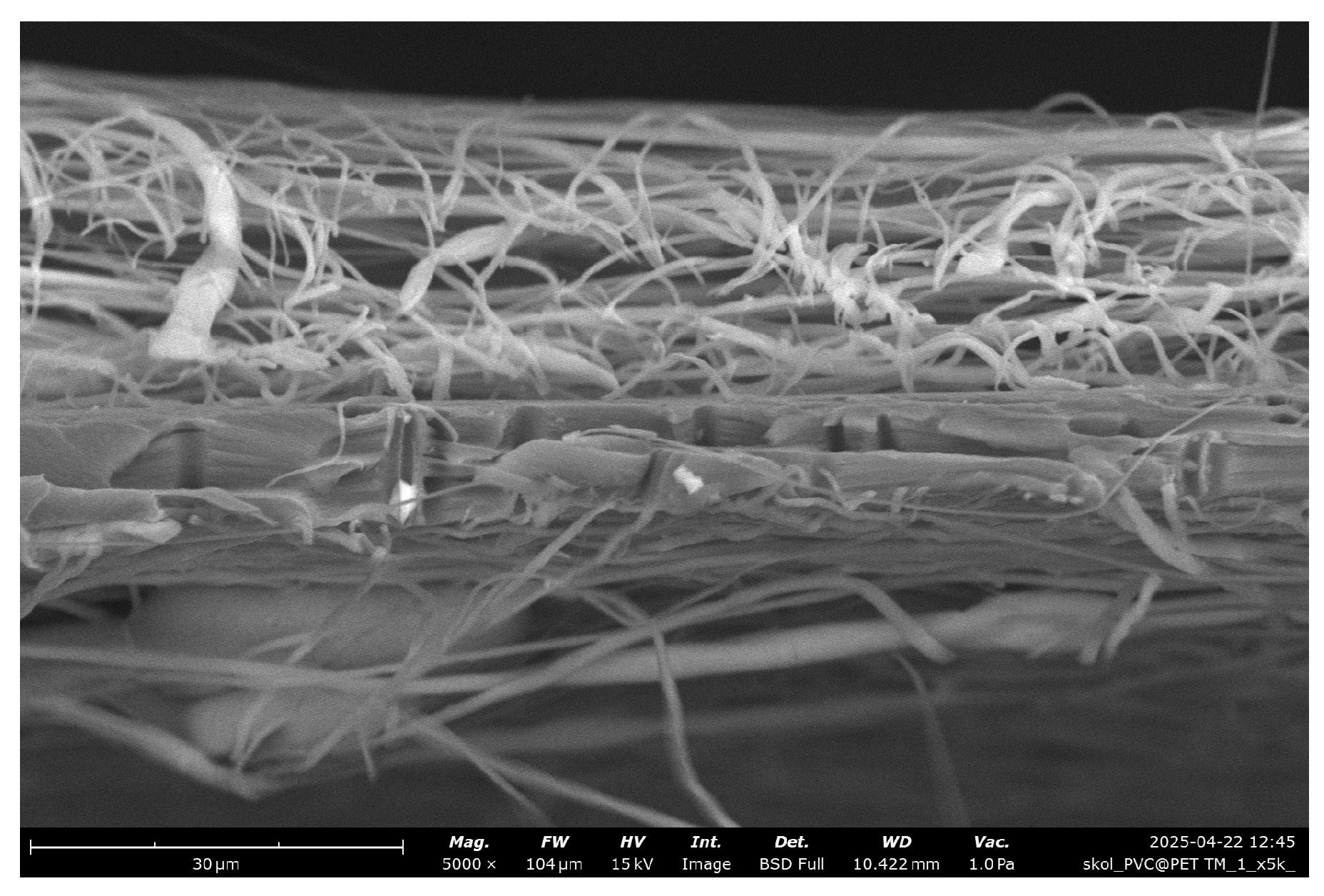 Membranes 15 00202 g005