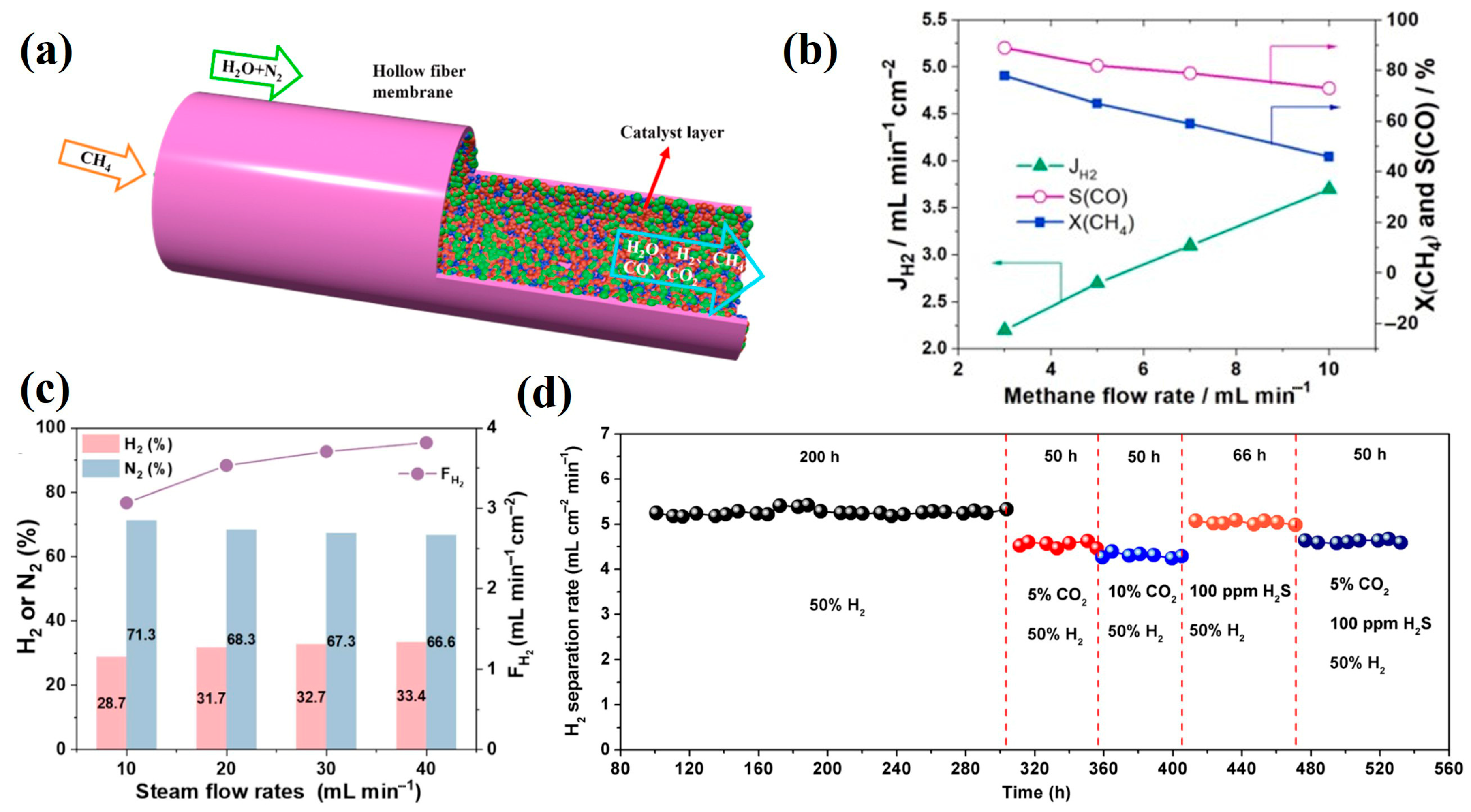 Membranes 15 00203 g005