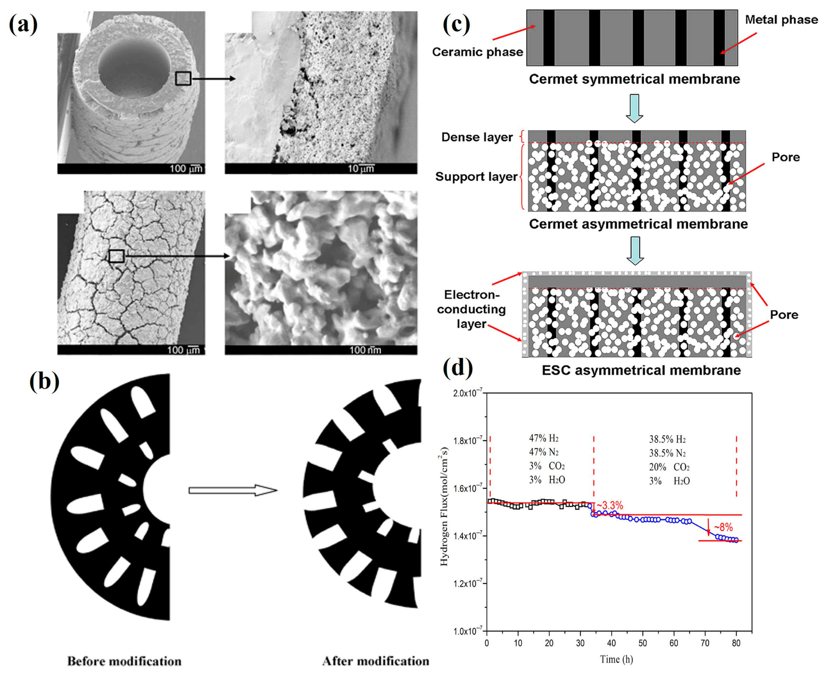 Membranes 15 00203 g006