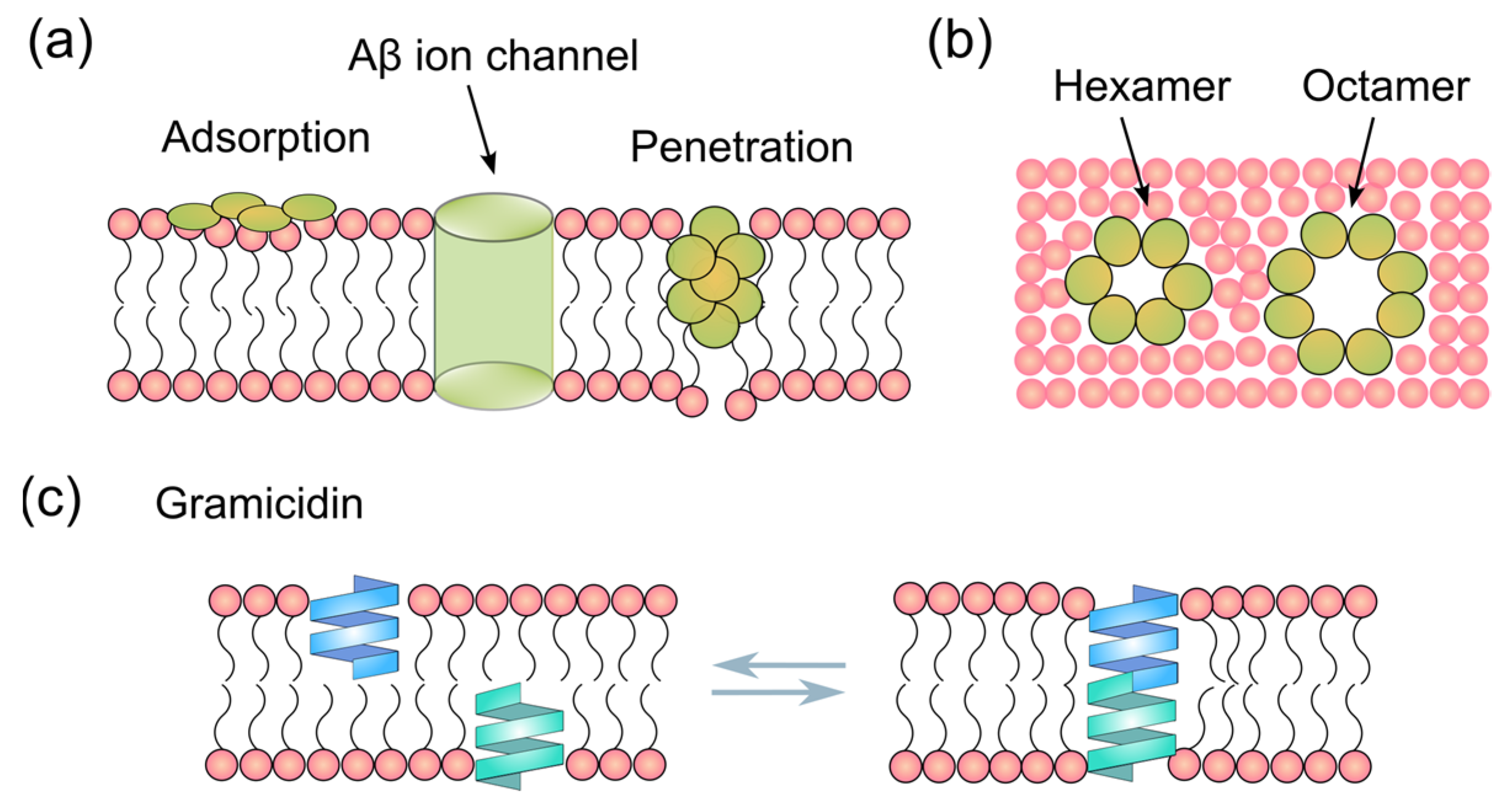 Membranes 15 00204 g001