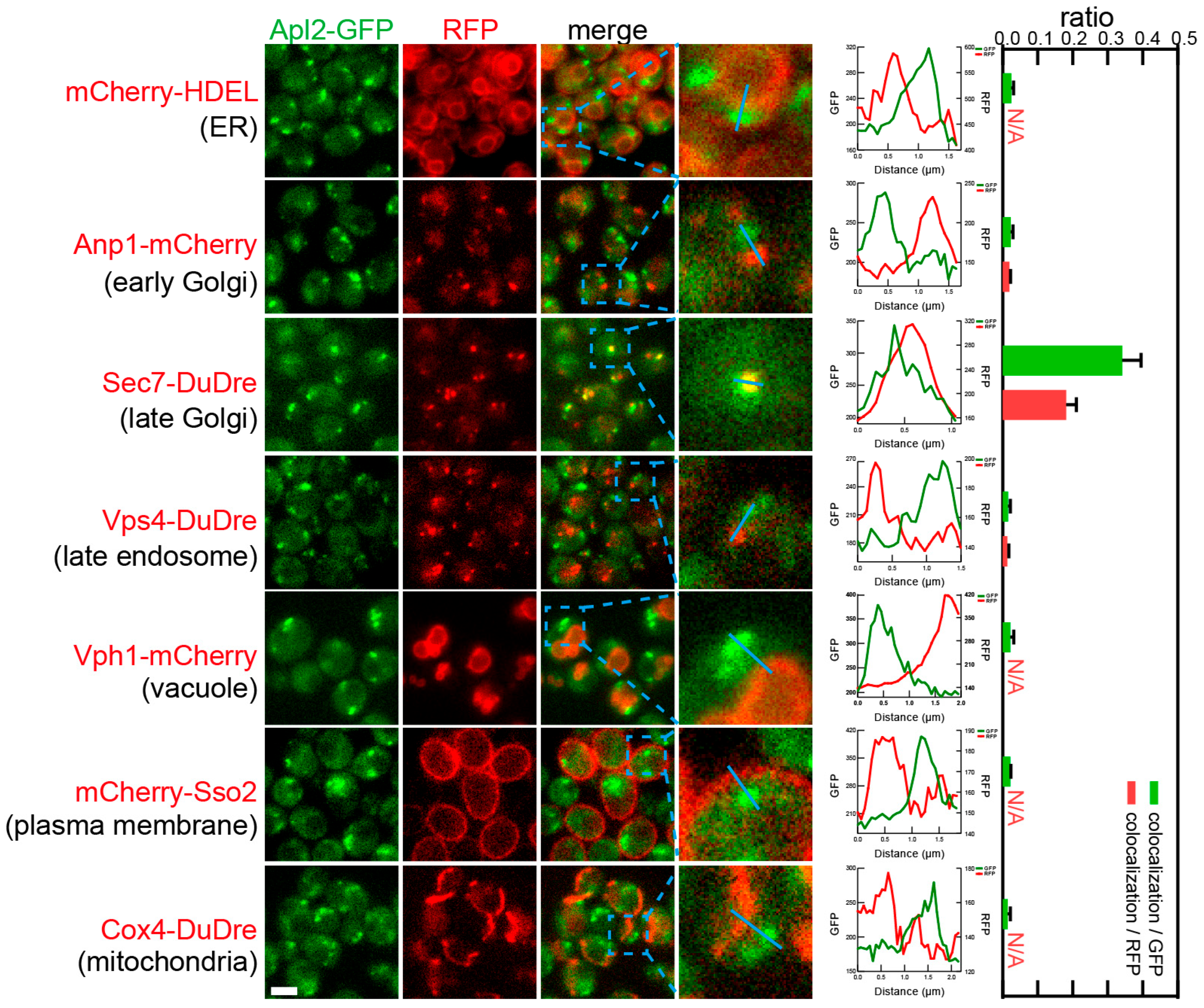 Membranes 15 00209 g011