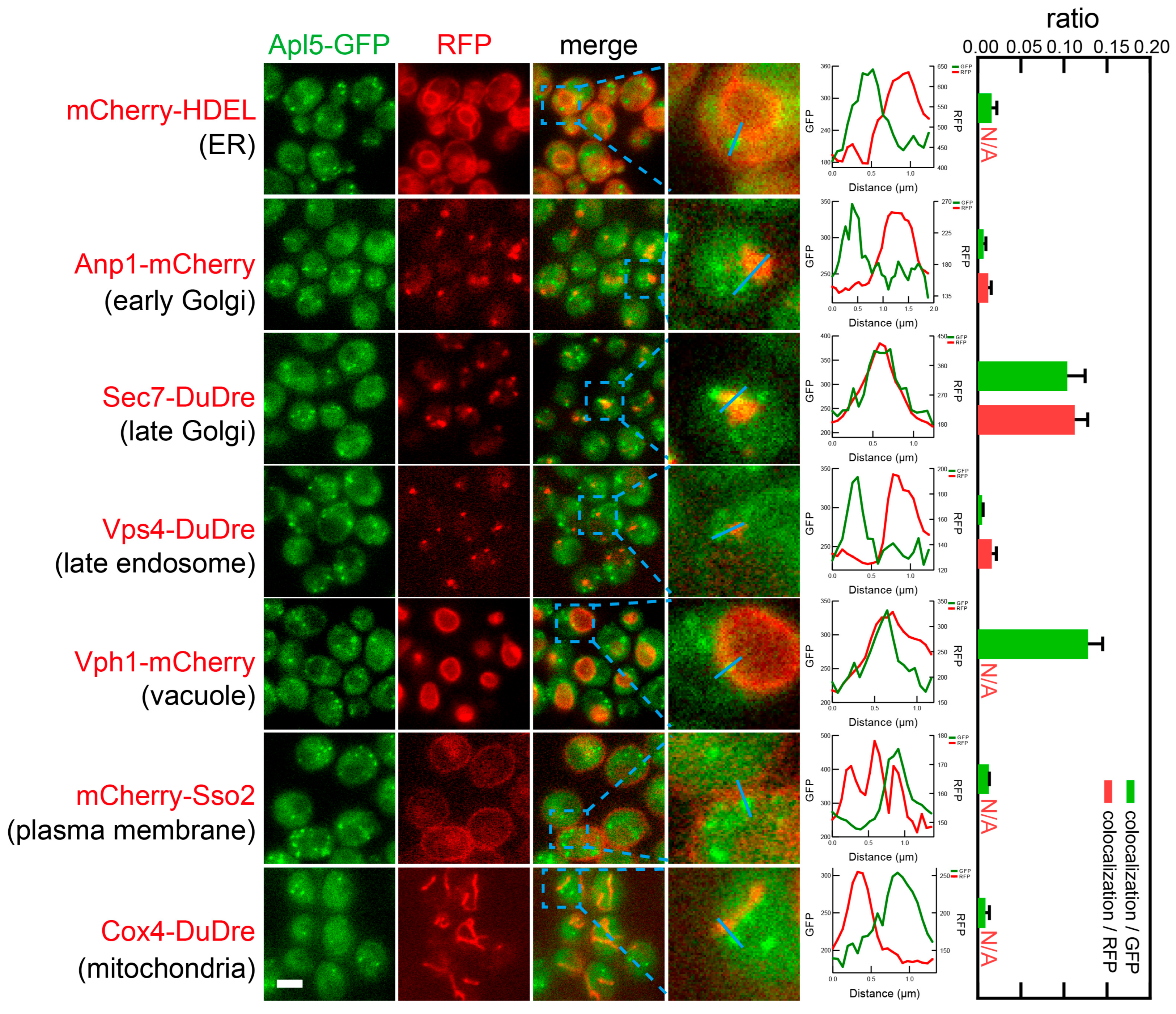 Membranes 15 00209 g015