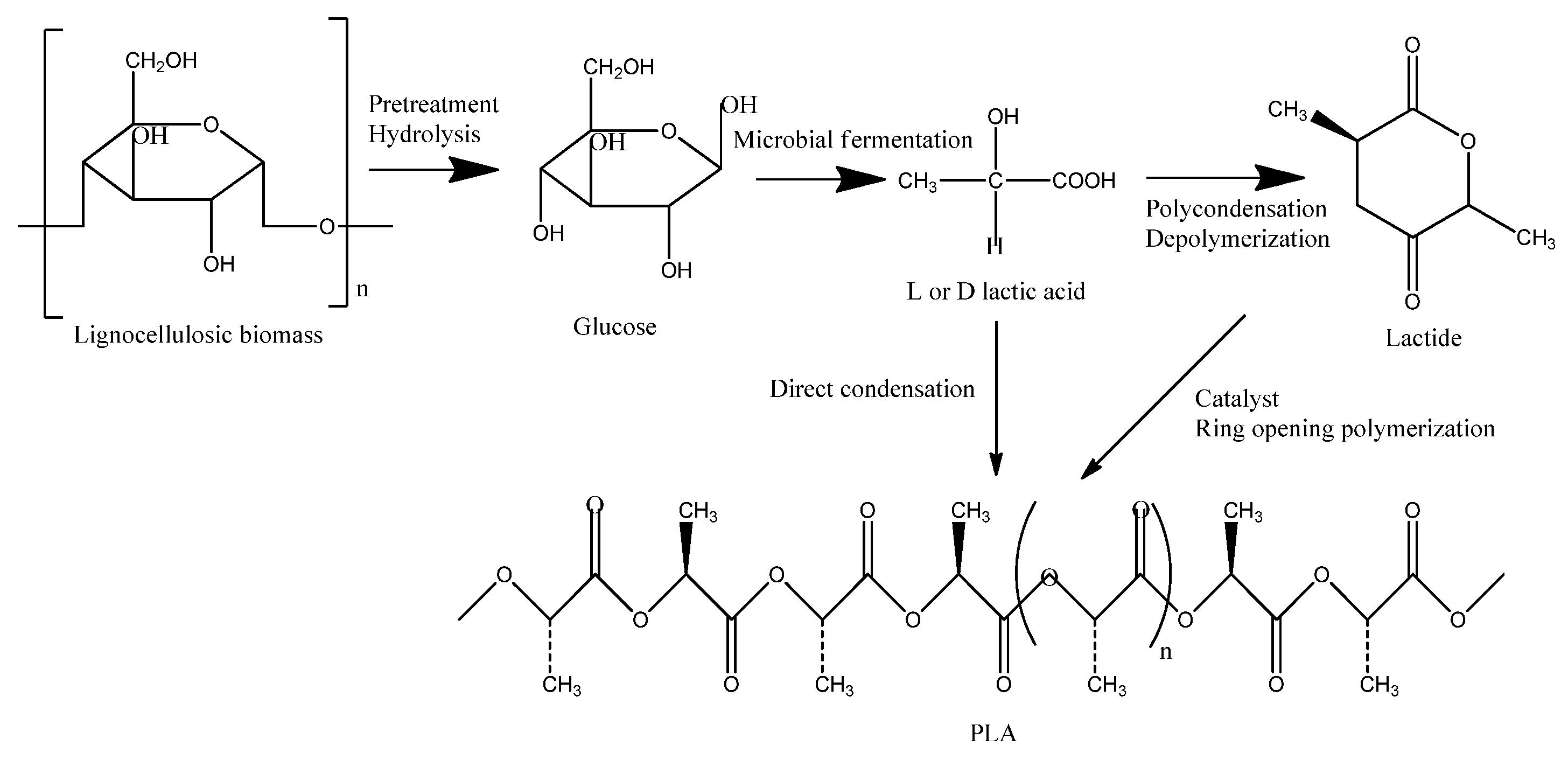 Membranes 15 00210 g002