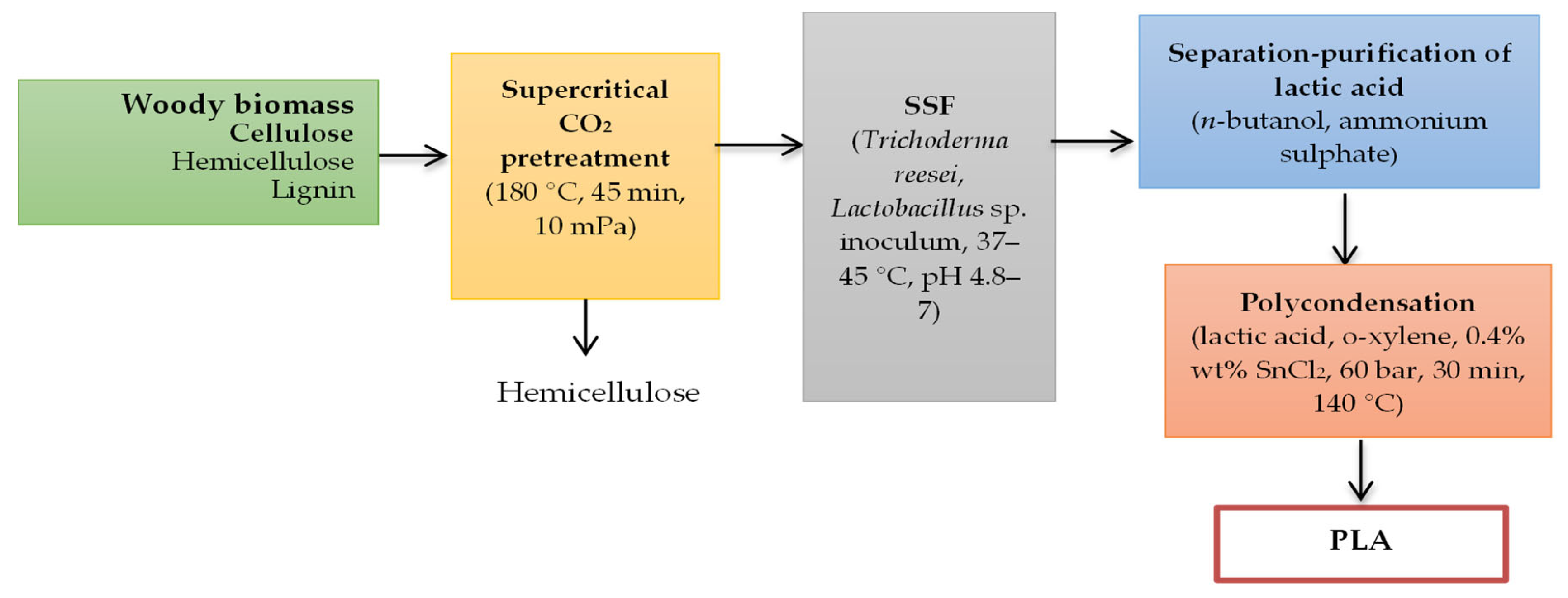Membranes 15 00210 g003